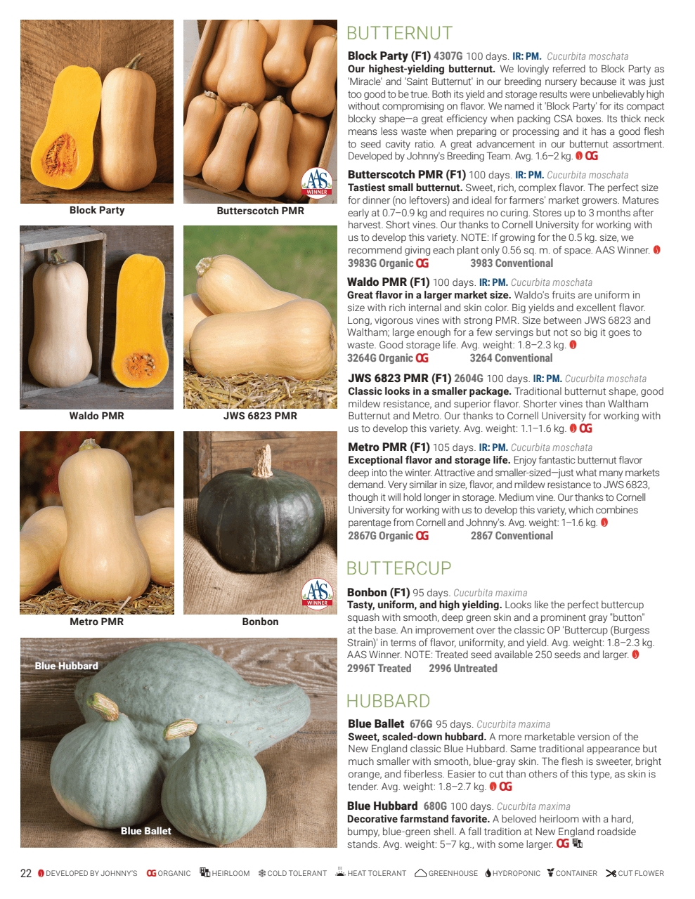 Flyer page 22