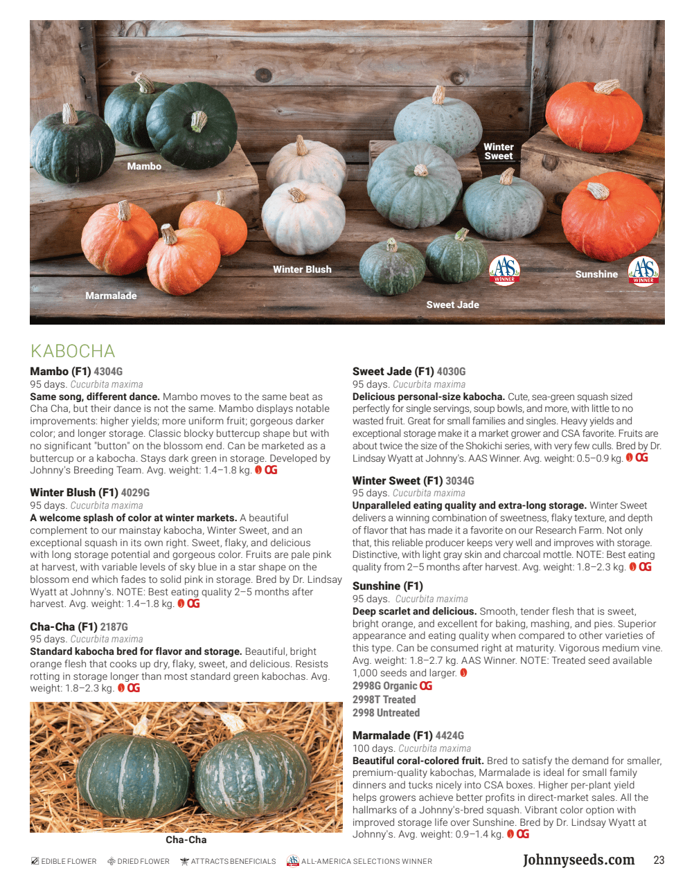 Flyer page 23