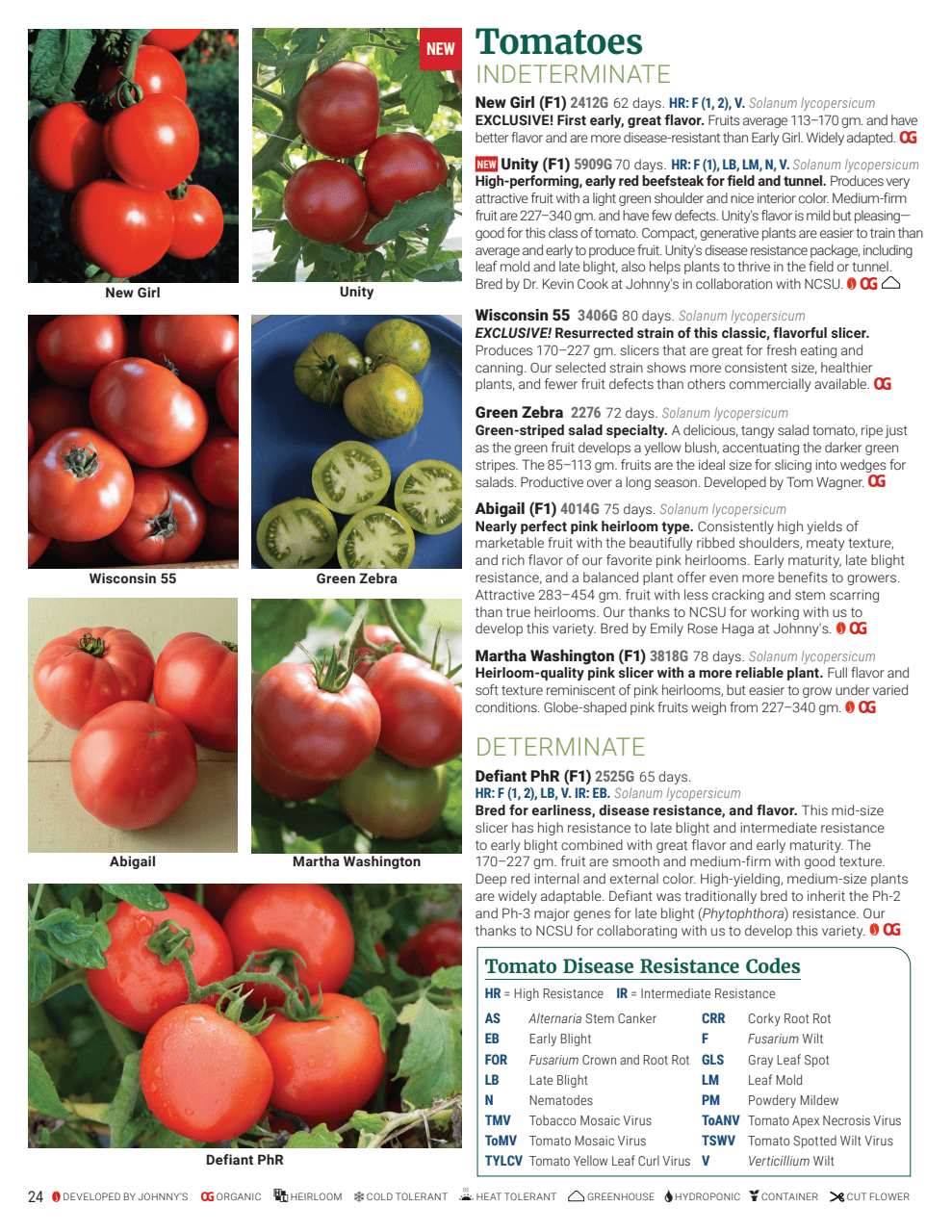 Flyer page 24