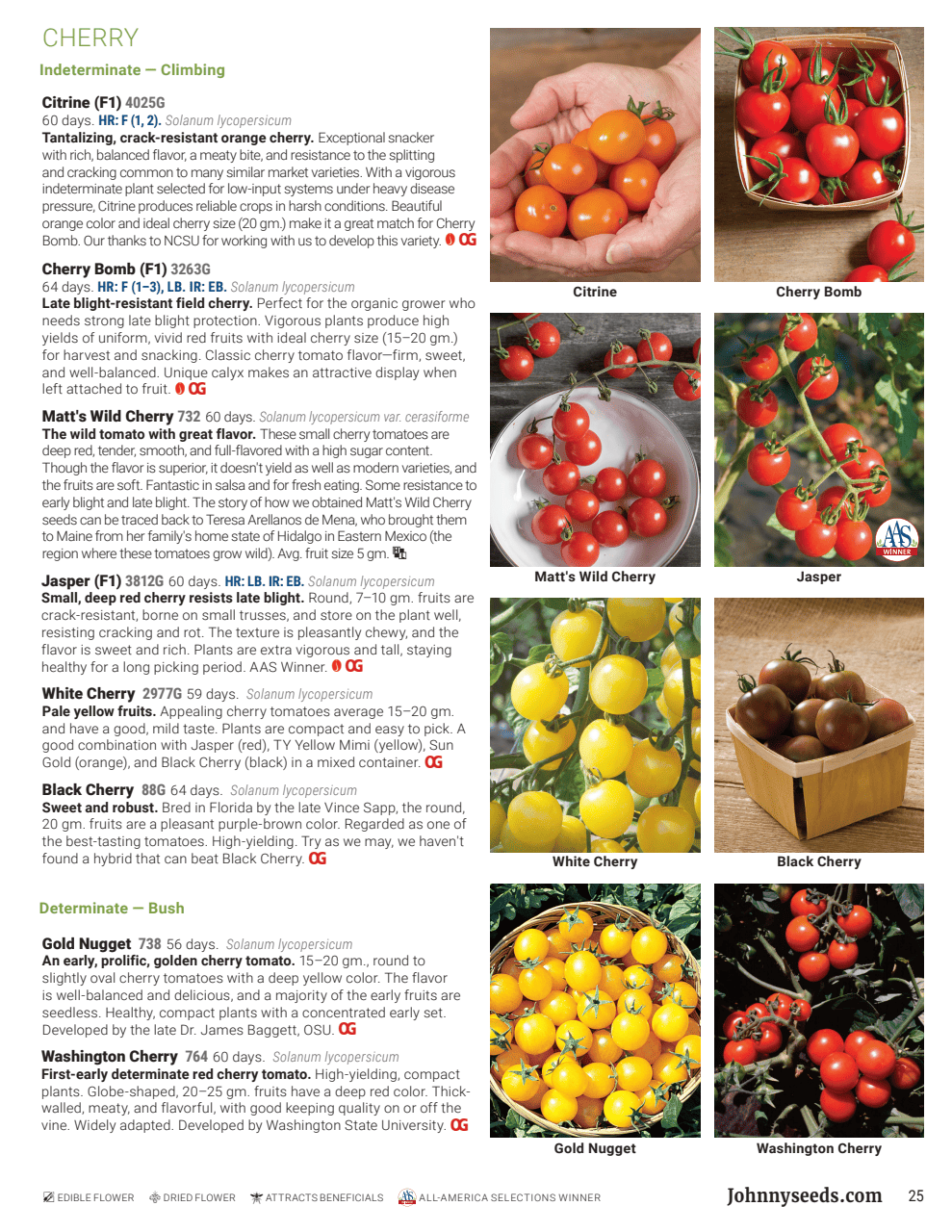 Flyer page 25