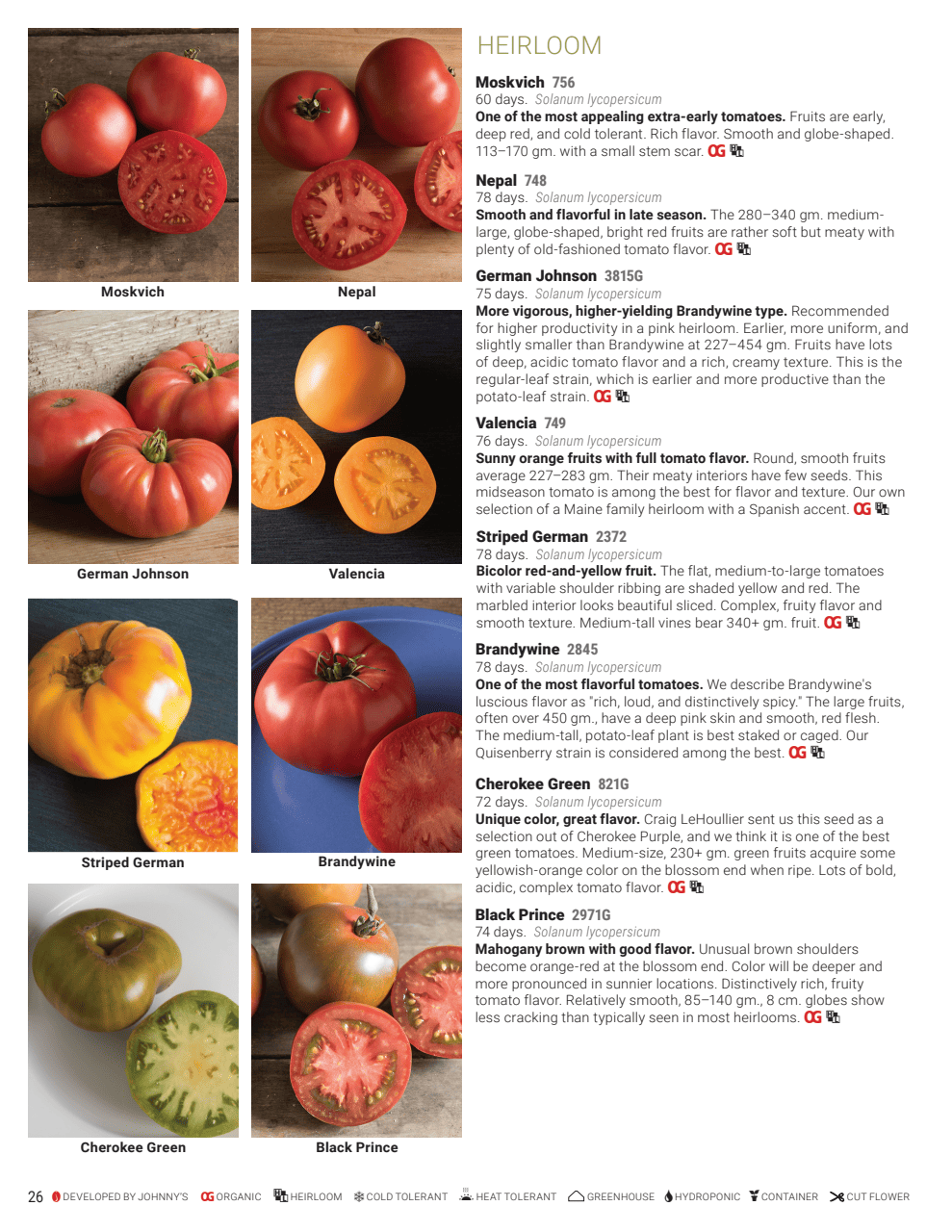 Flyer page 26