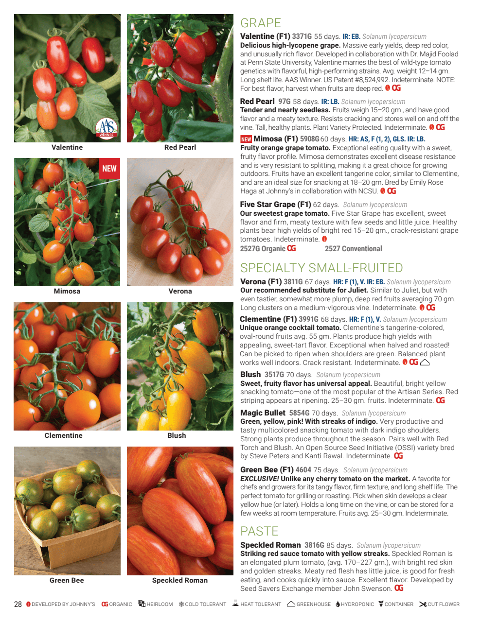 Flyer page 28