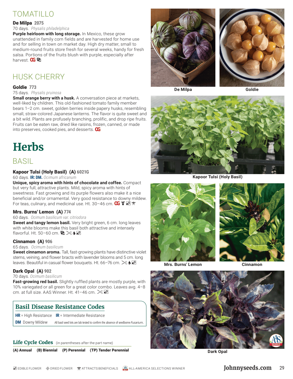 Flyer page 29