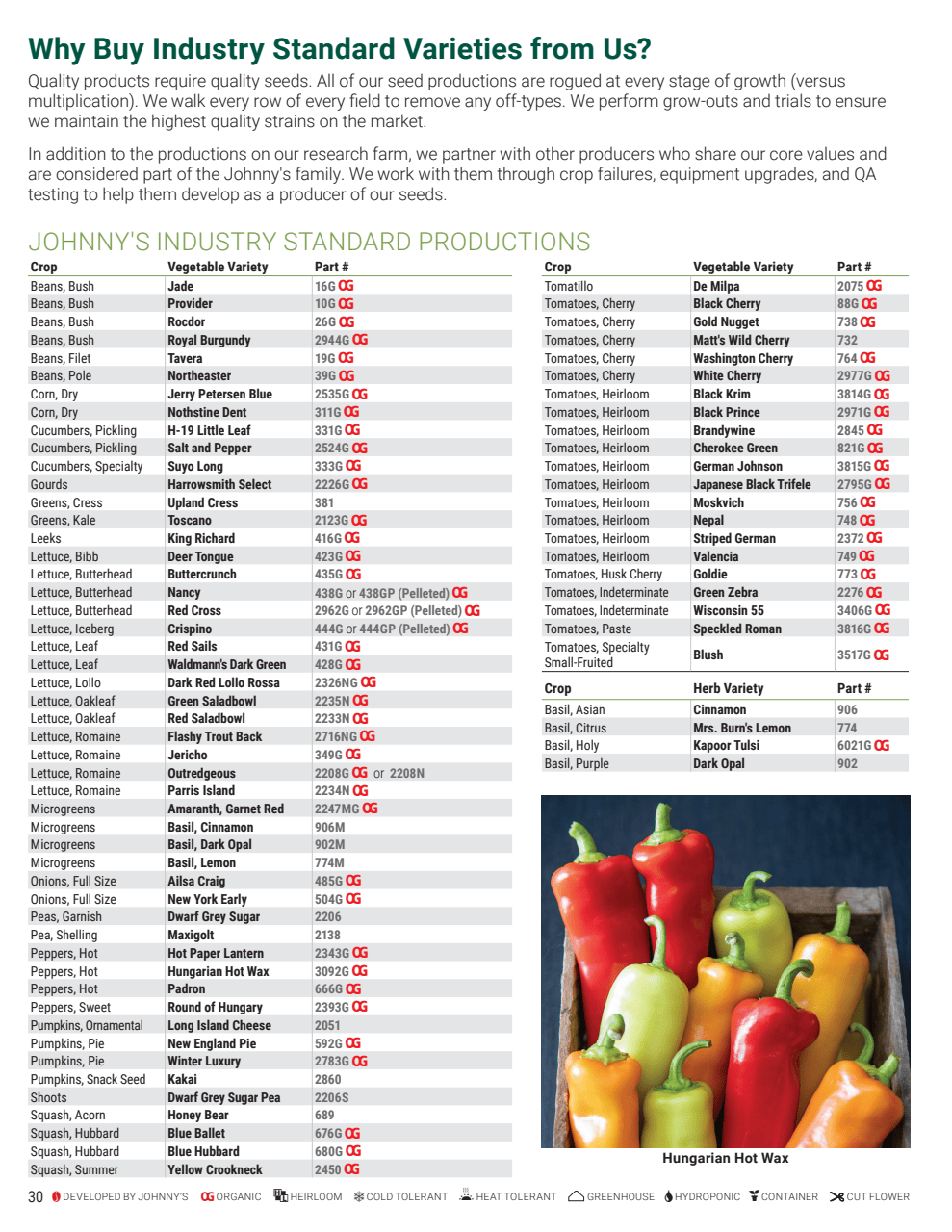 Flyer page 30