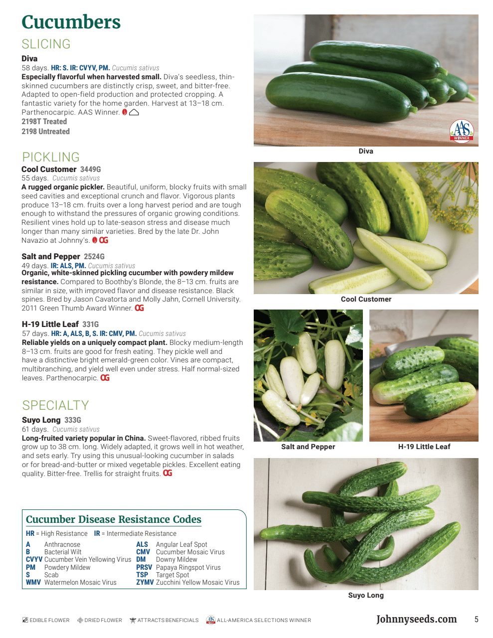 Flyer page 5