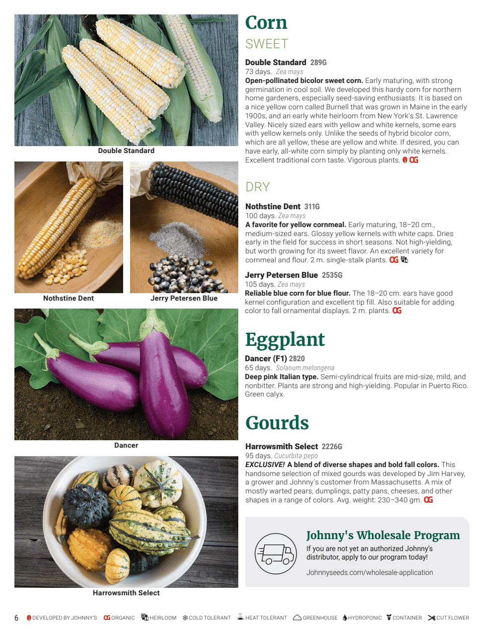 Flyer page 6