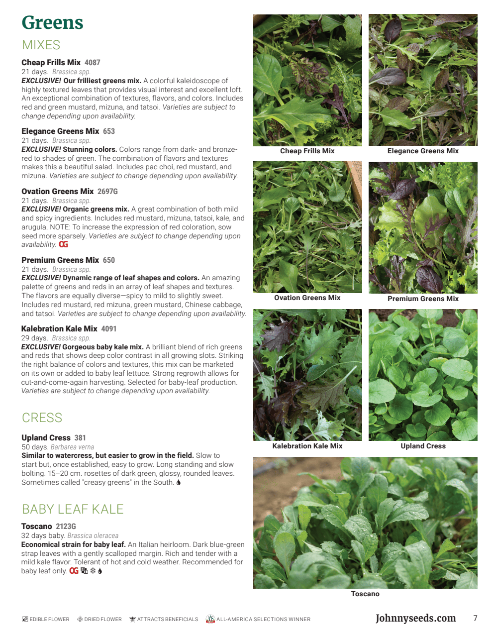 Flyer page 7