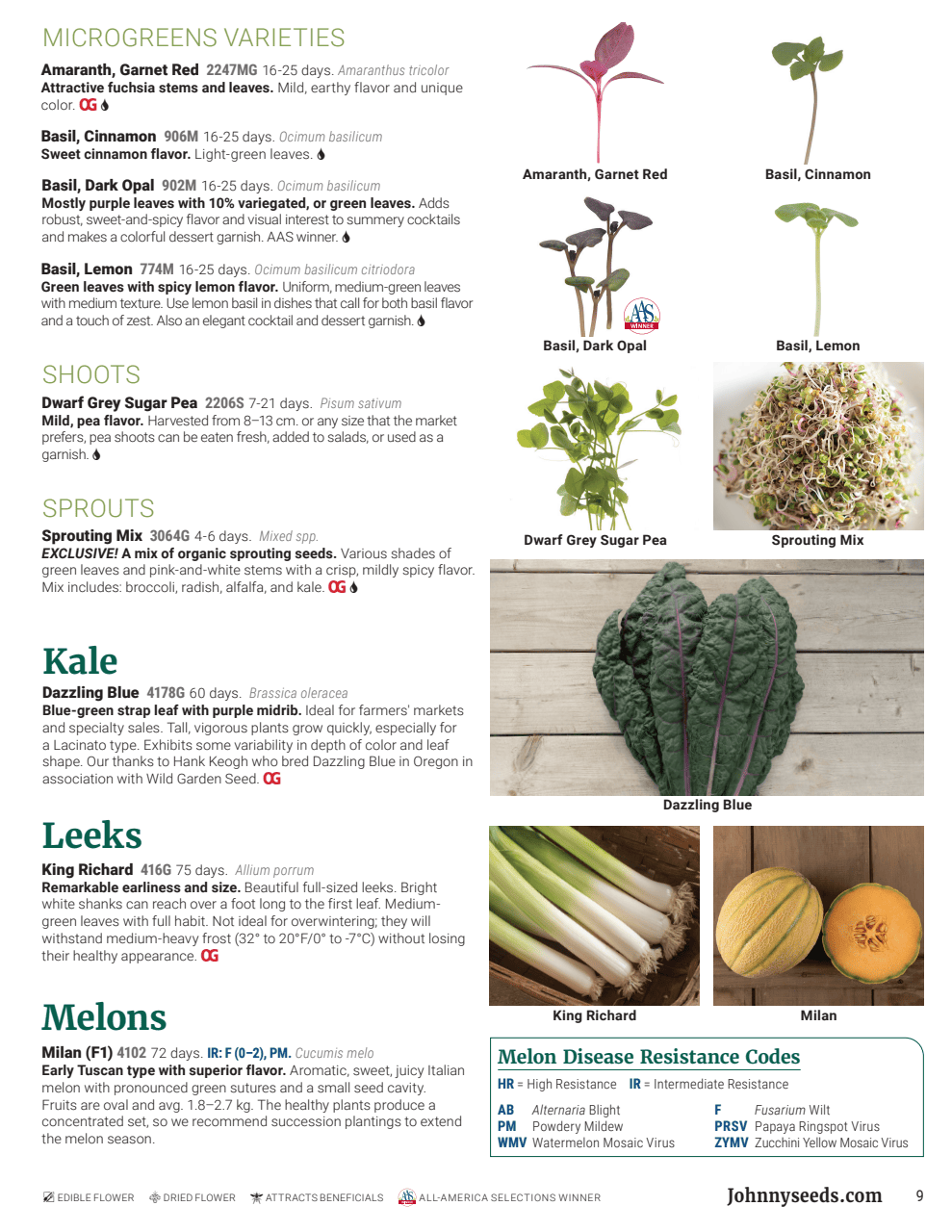 Flyer page 9
