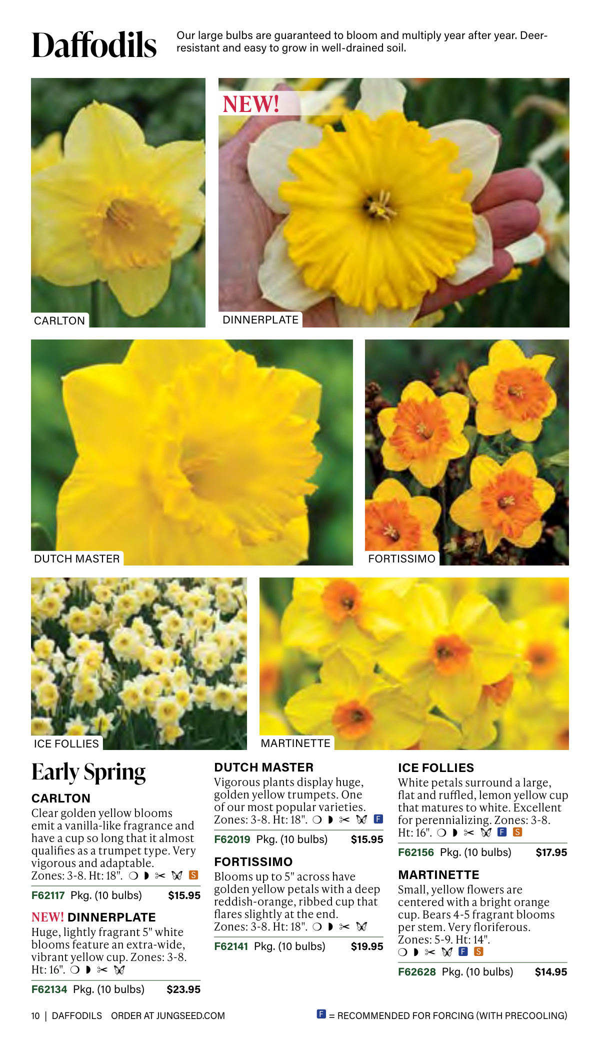 Flyer page 10