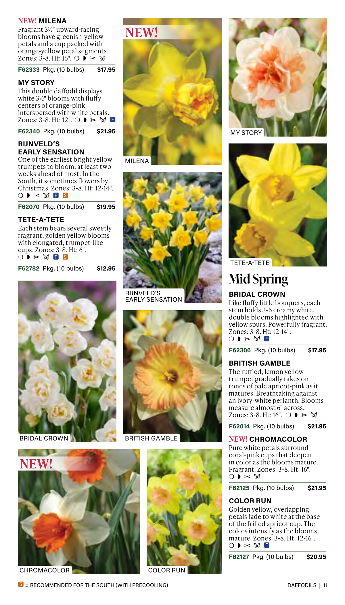 Flyer page 11
