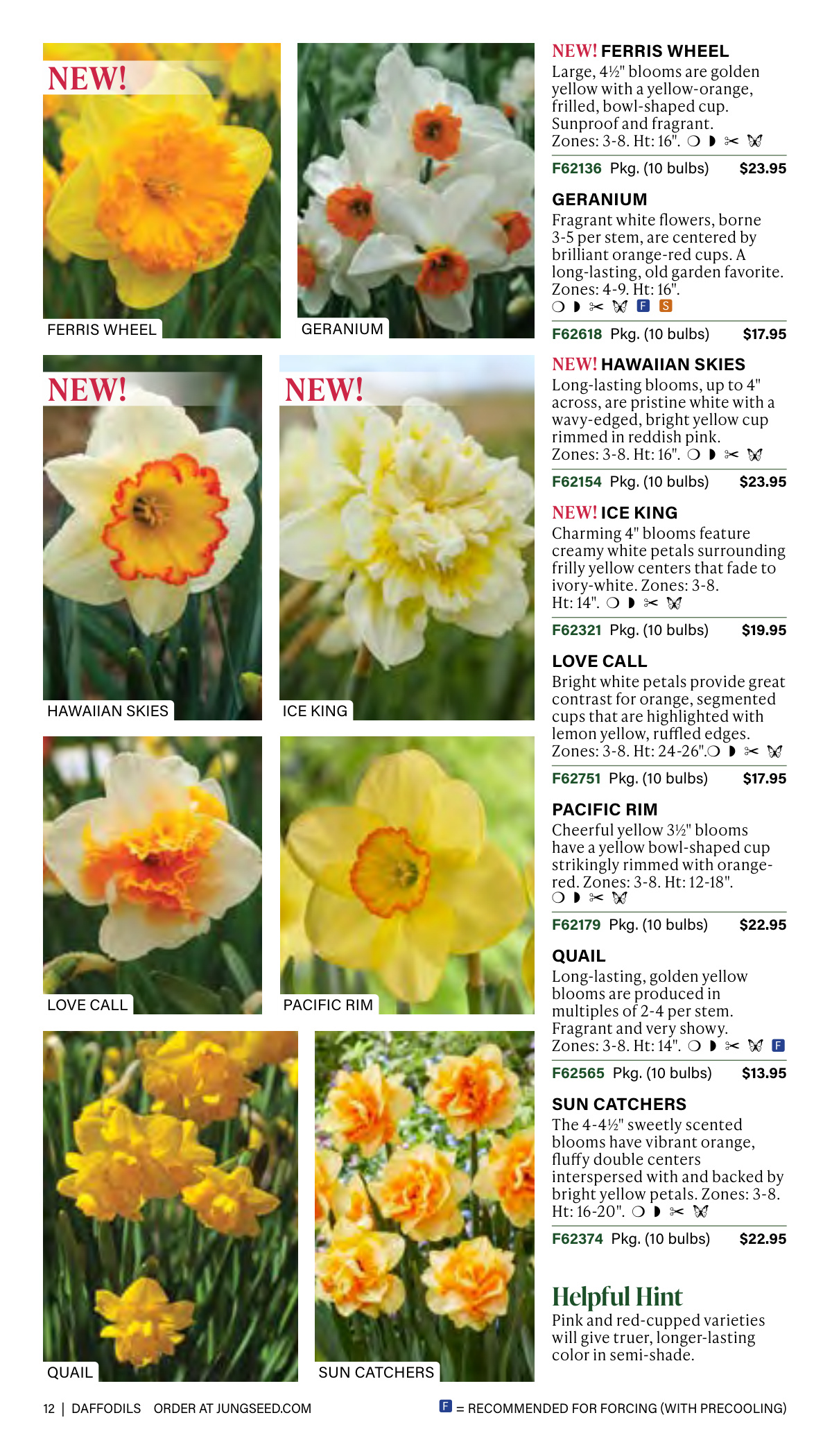 Flyer page 12