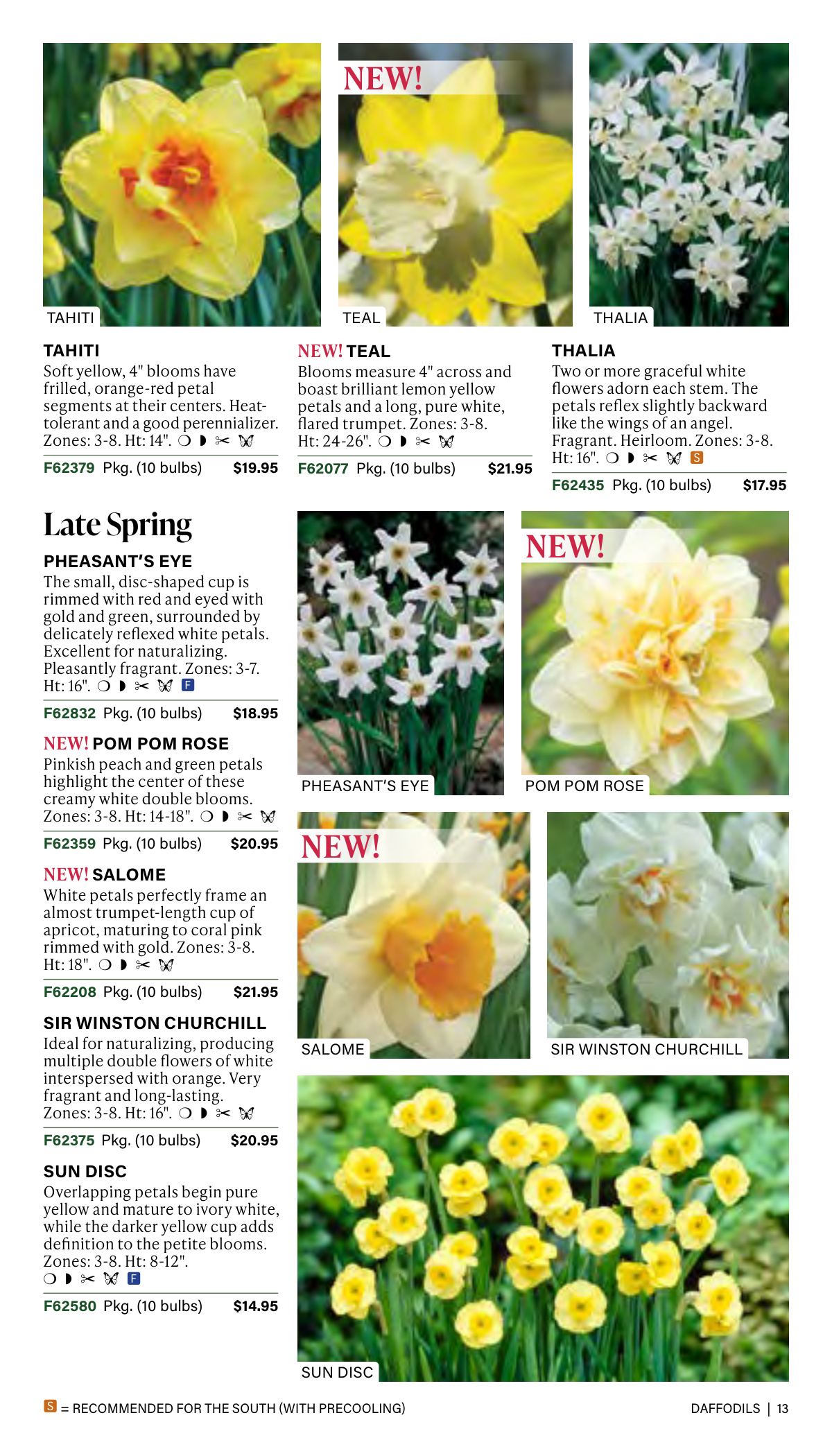 Flyer page 13