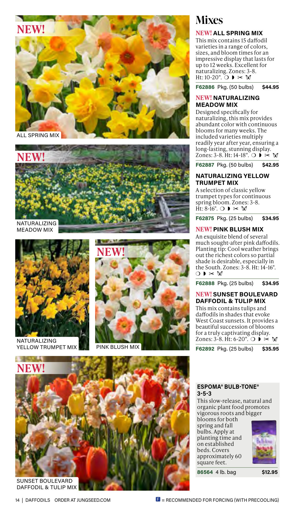 Flyer page 14