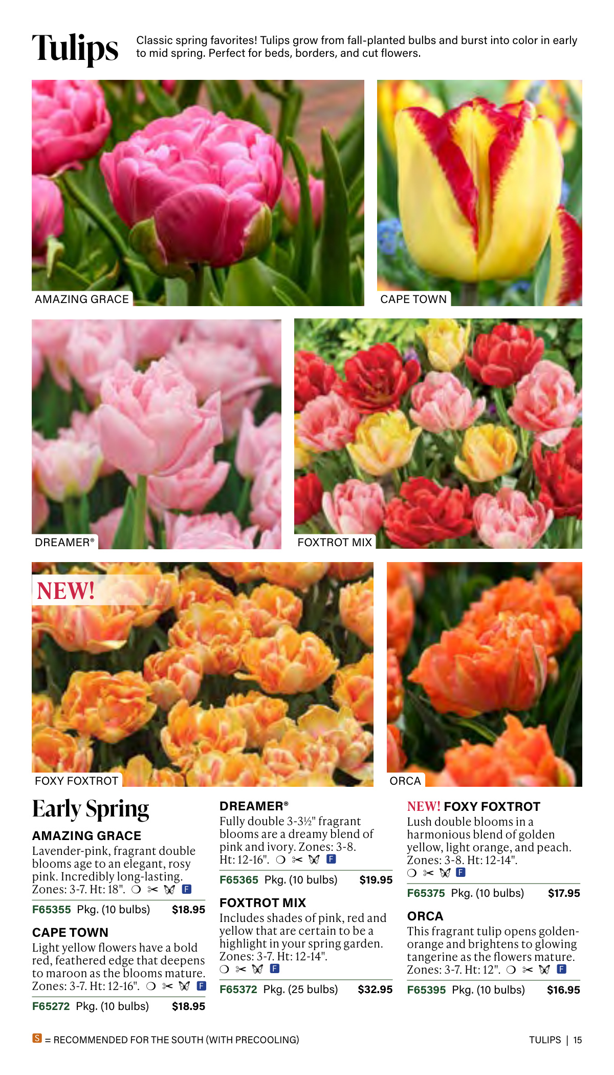 Flyer page 15