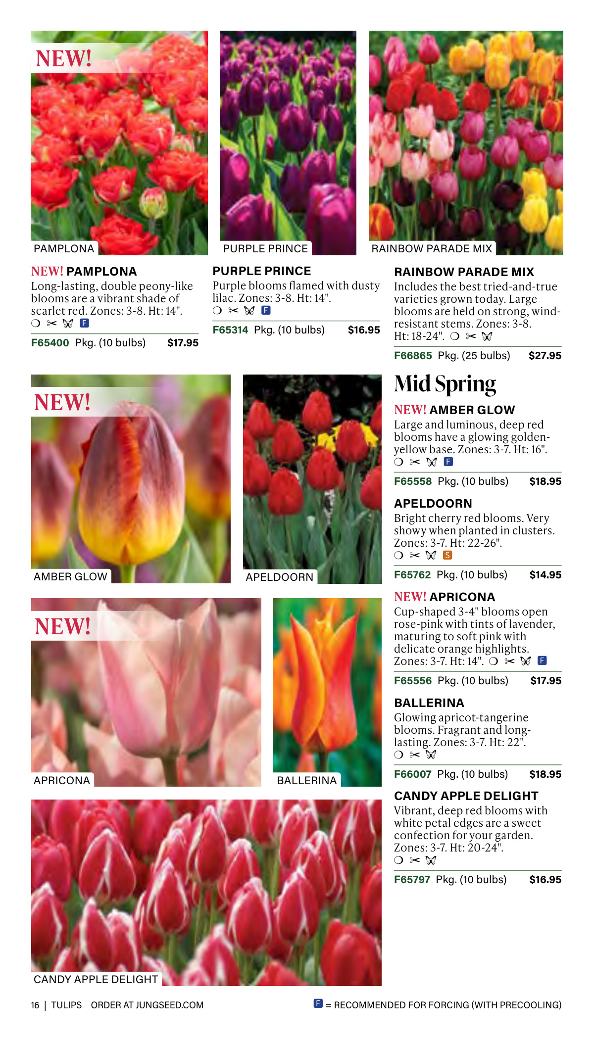Flyer page 16