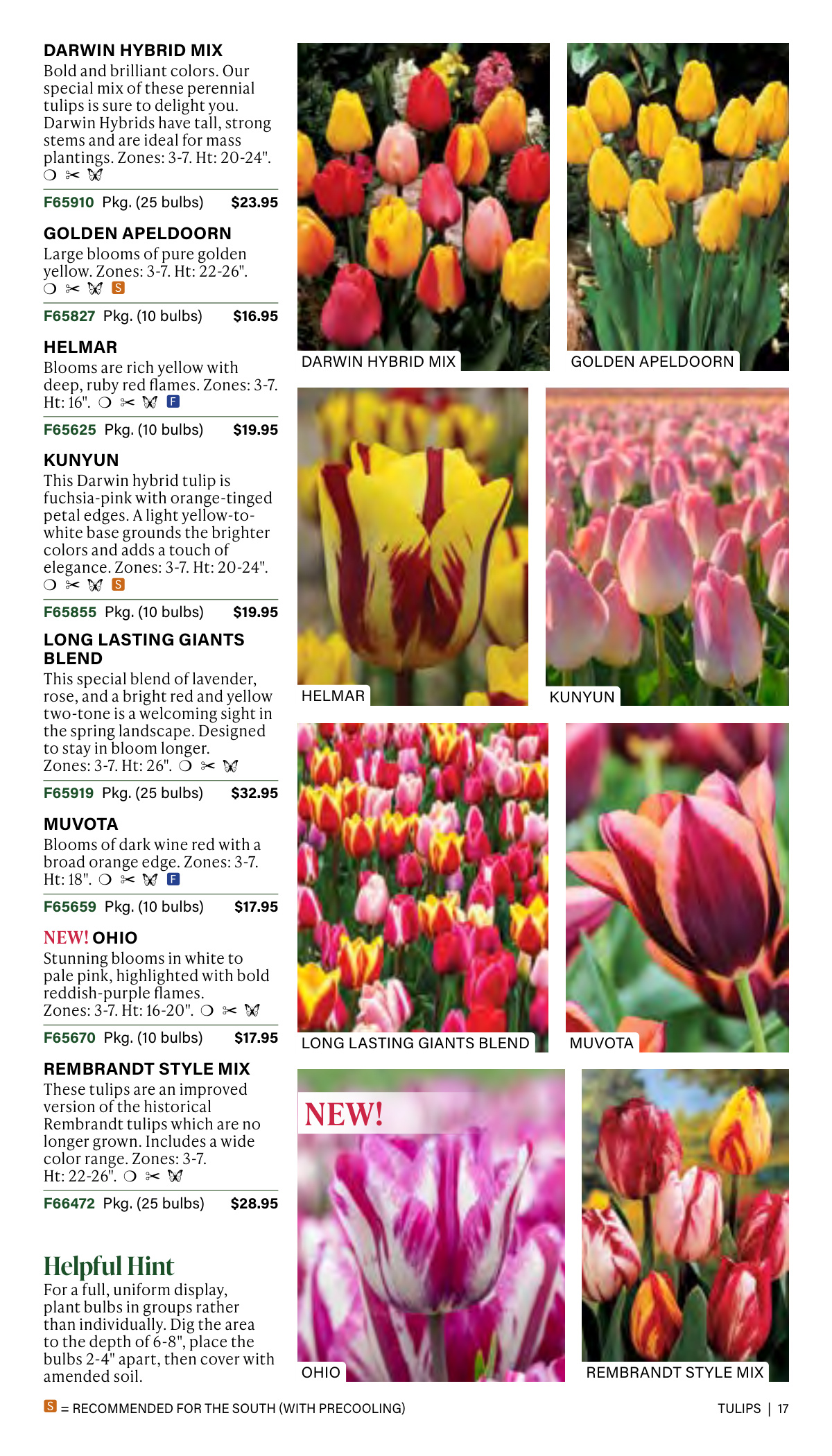 Flyer page 17