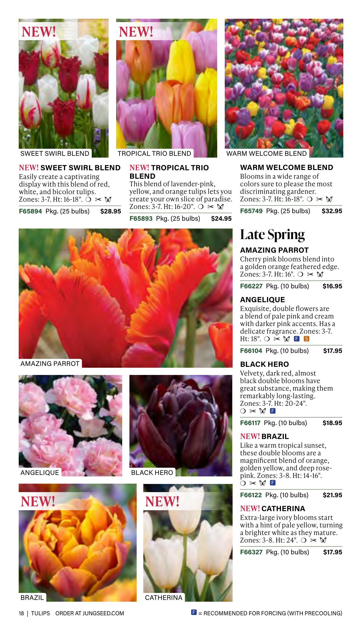 Flyer page 18