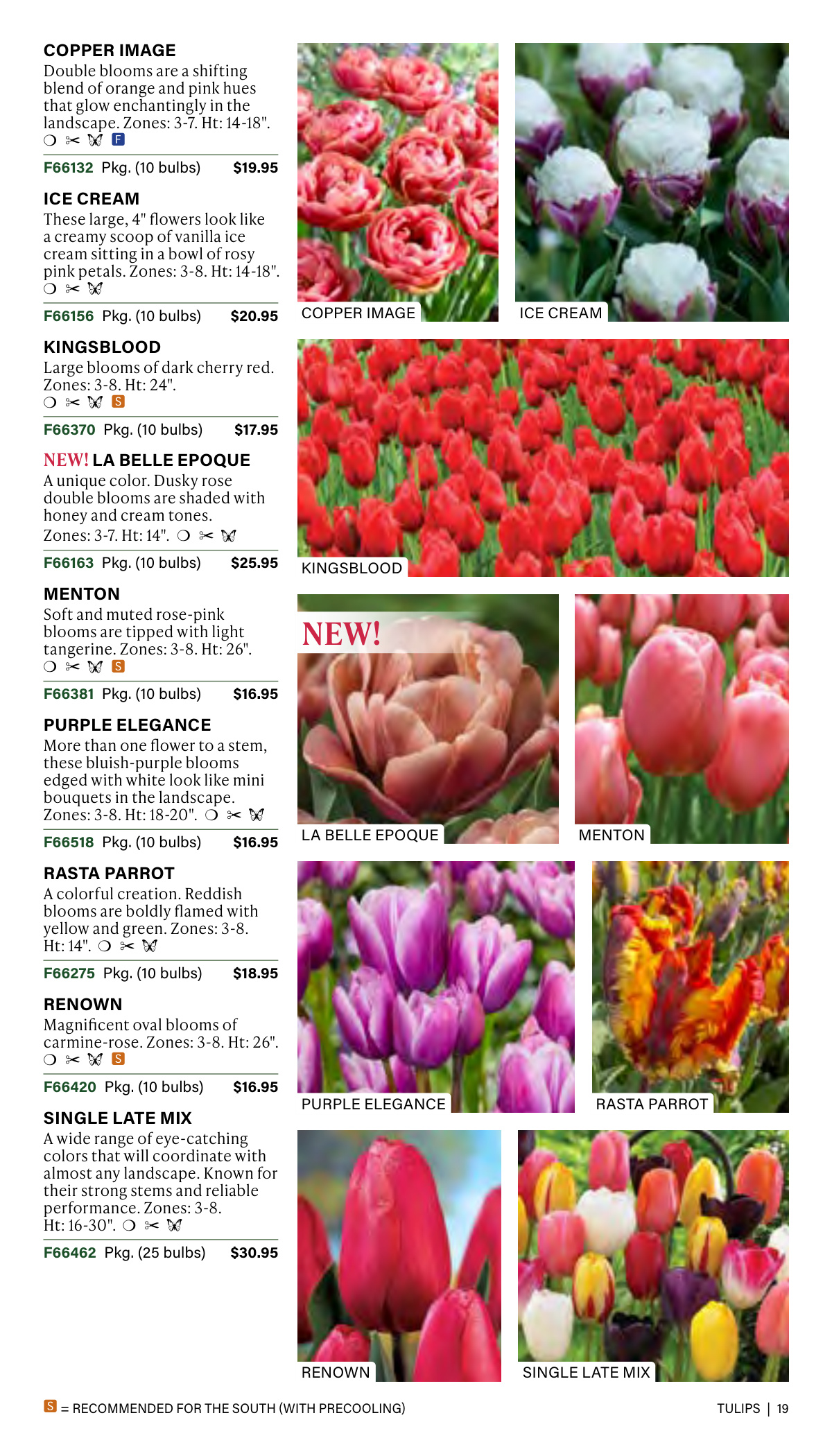 Flyer page 19