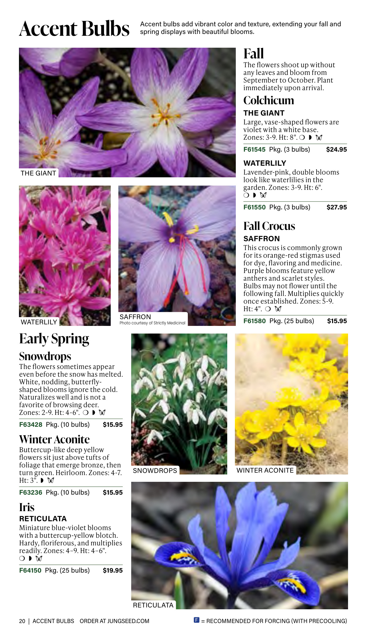 Flyer page 20