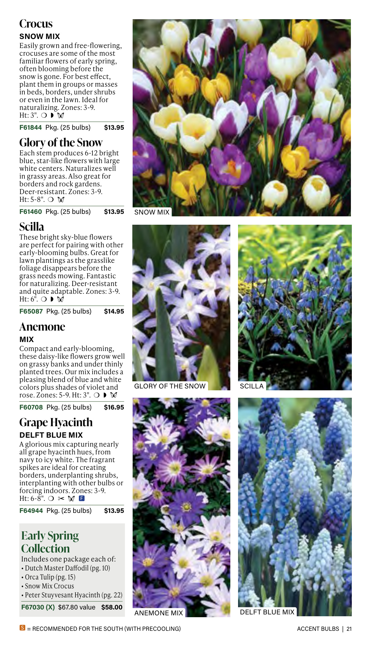 Flyer page 21