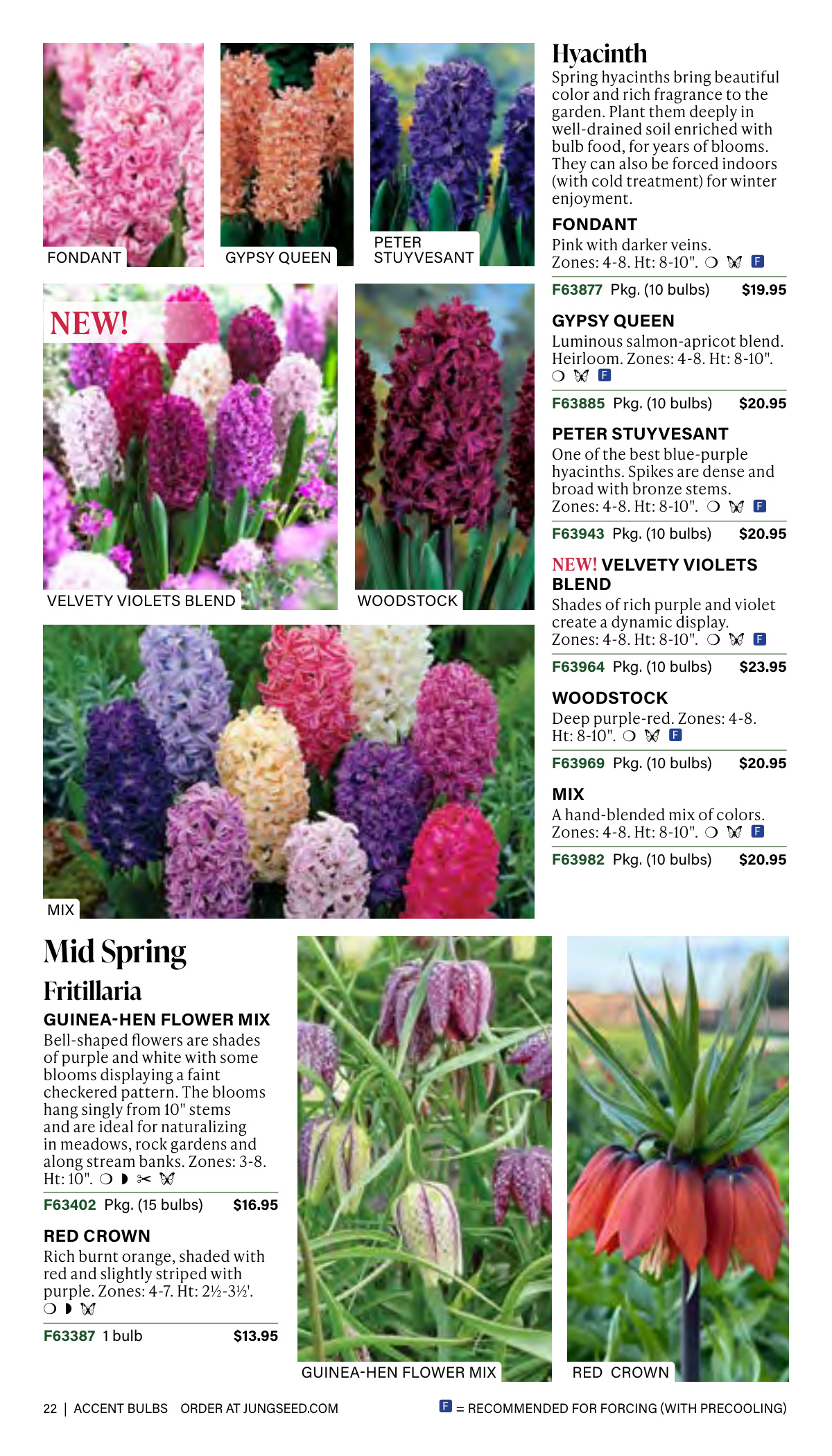 Flyer page 22