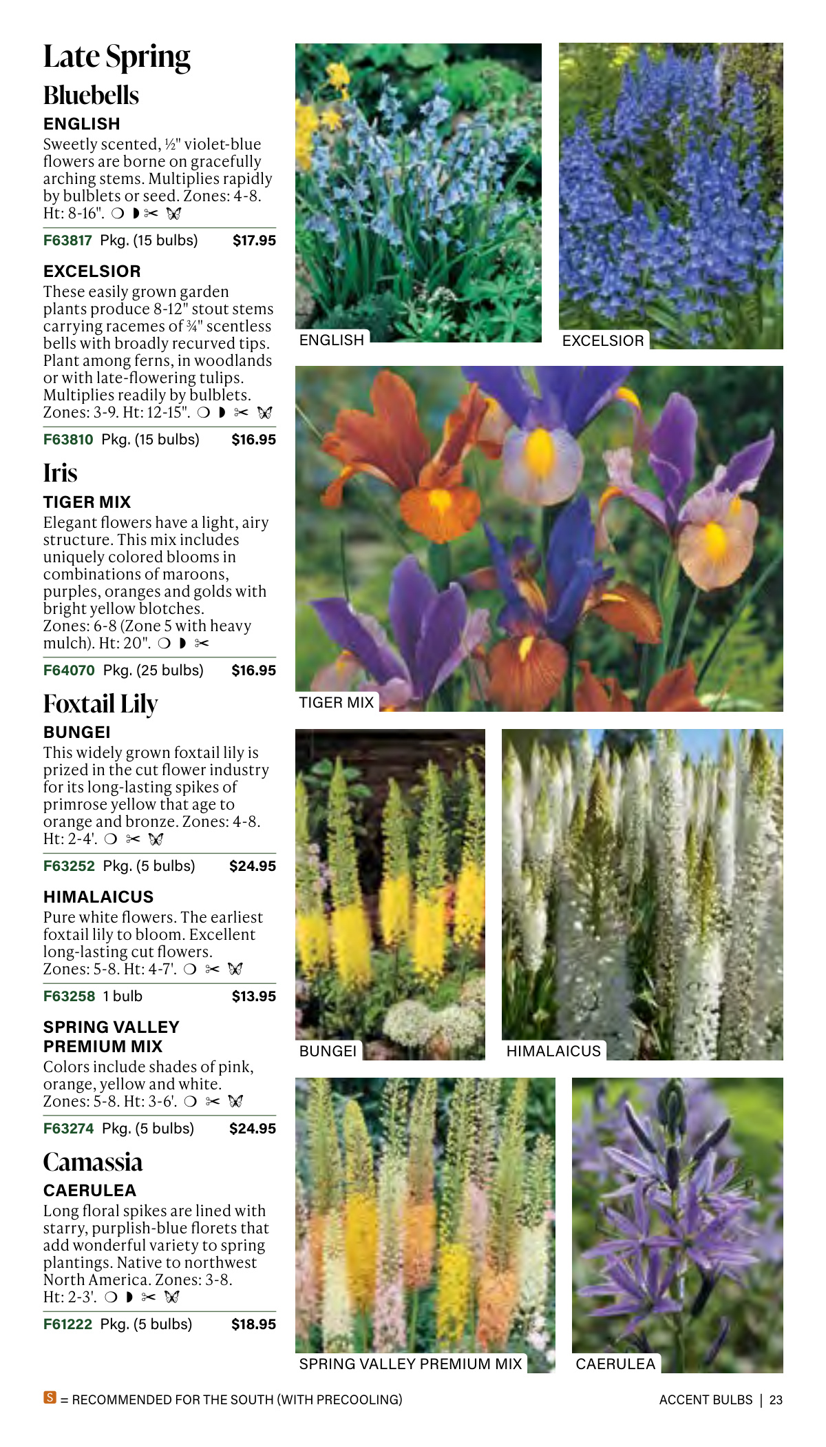 Flyer page 23