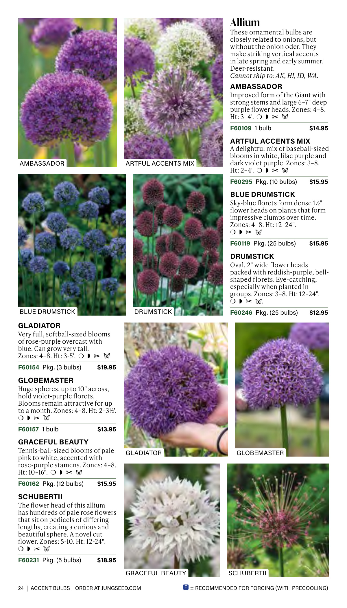Flyer page 24