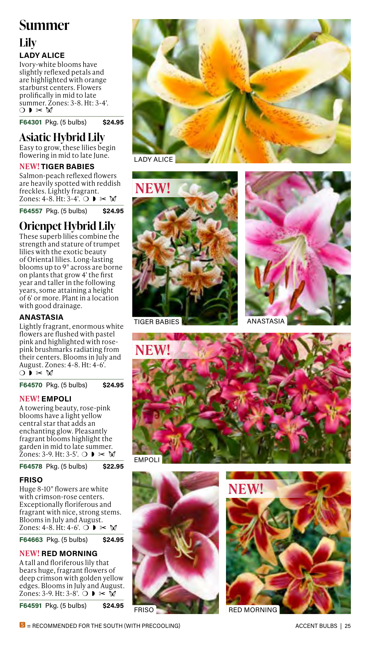 Flyer page 25