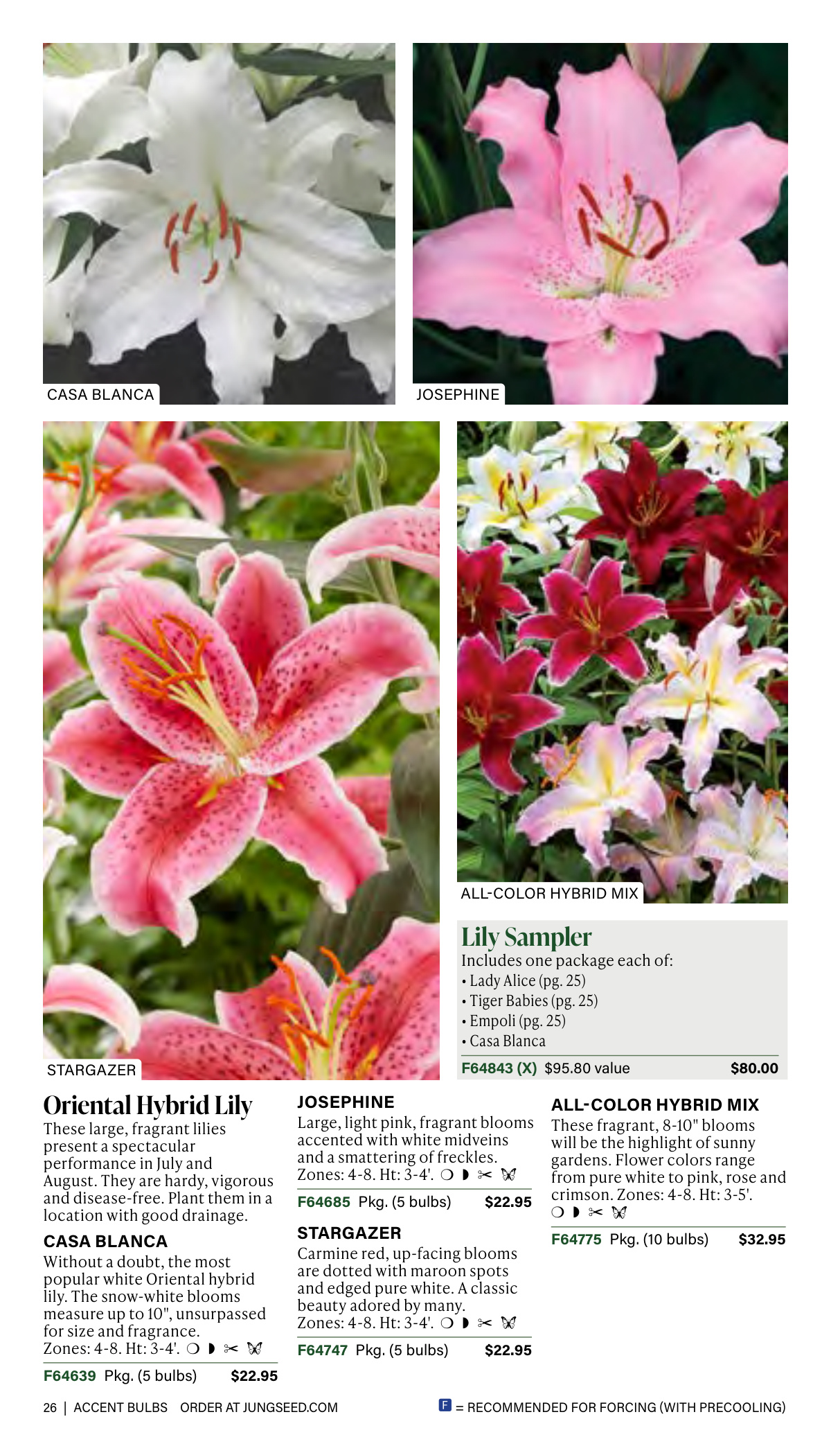 Flyer page 26