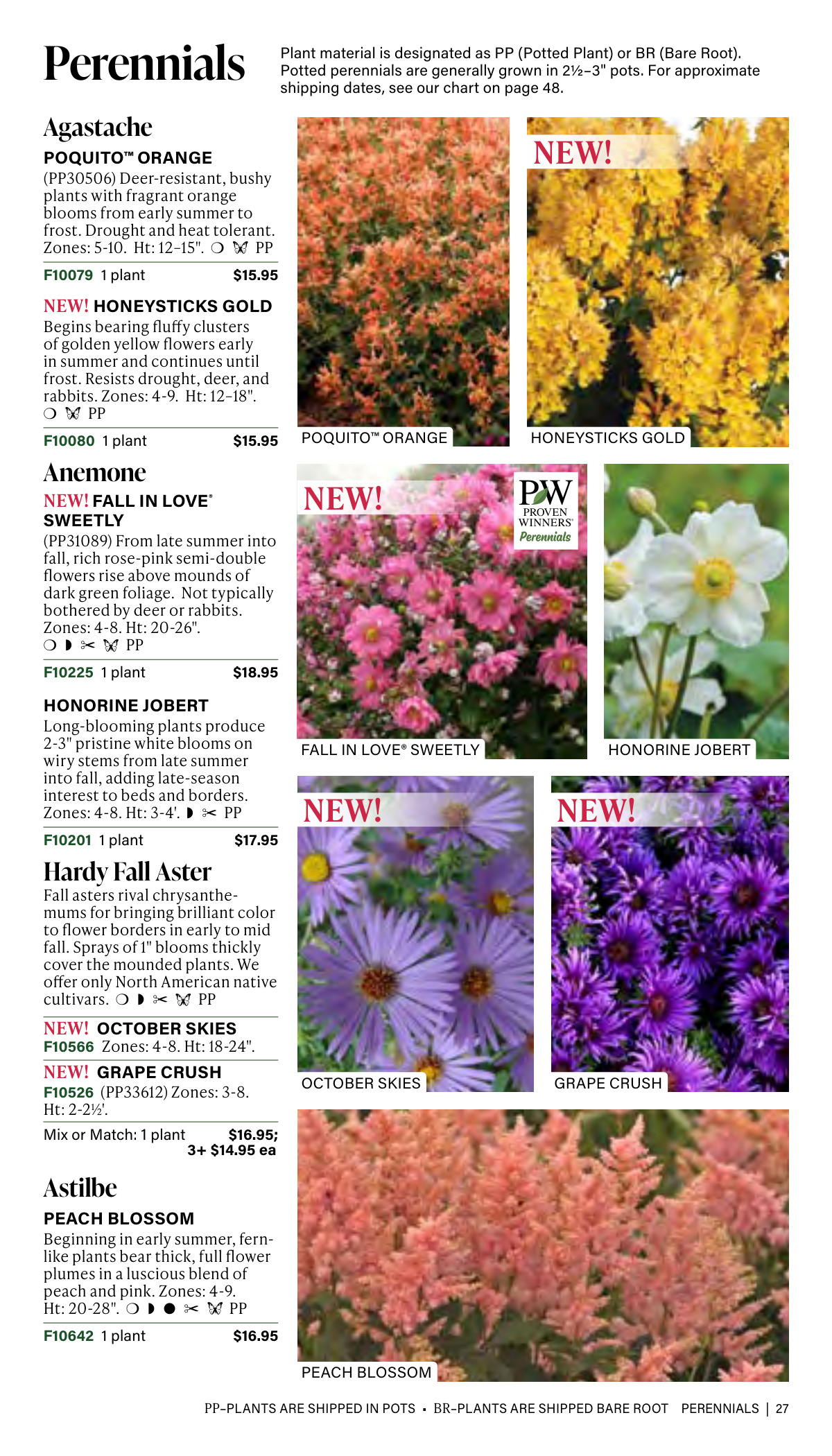 Flyer page 27