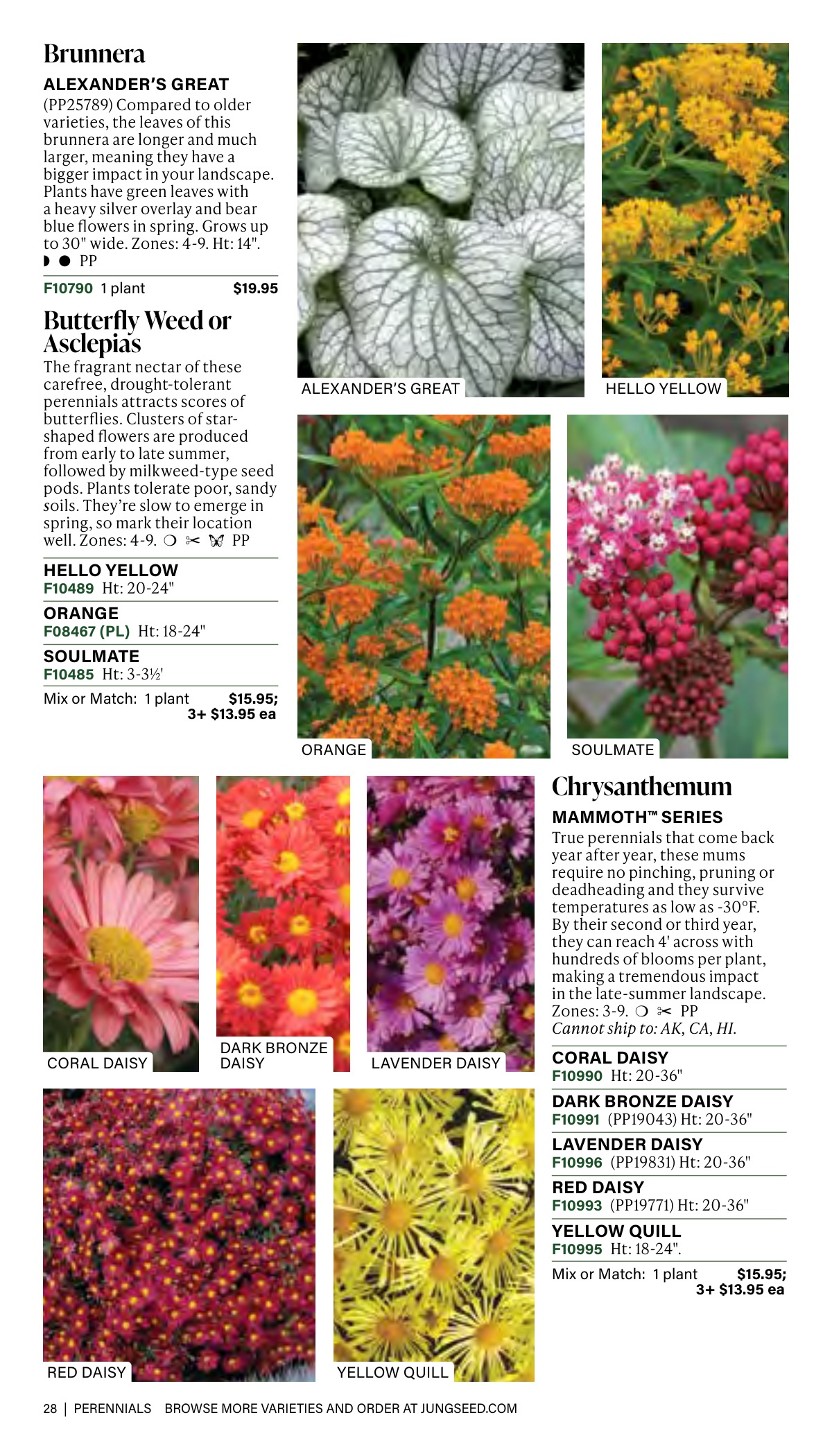 Flyer page 28