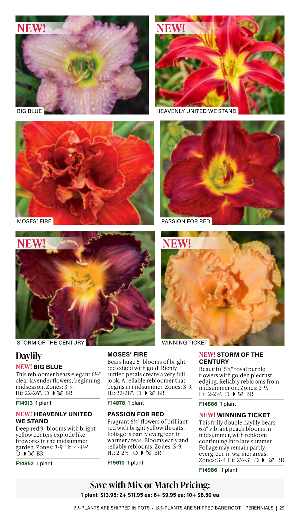 Flyer page 29