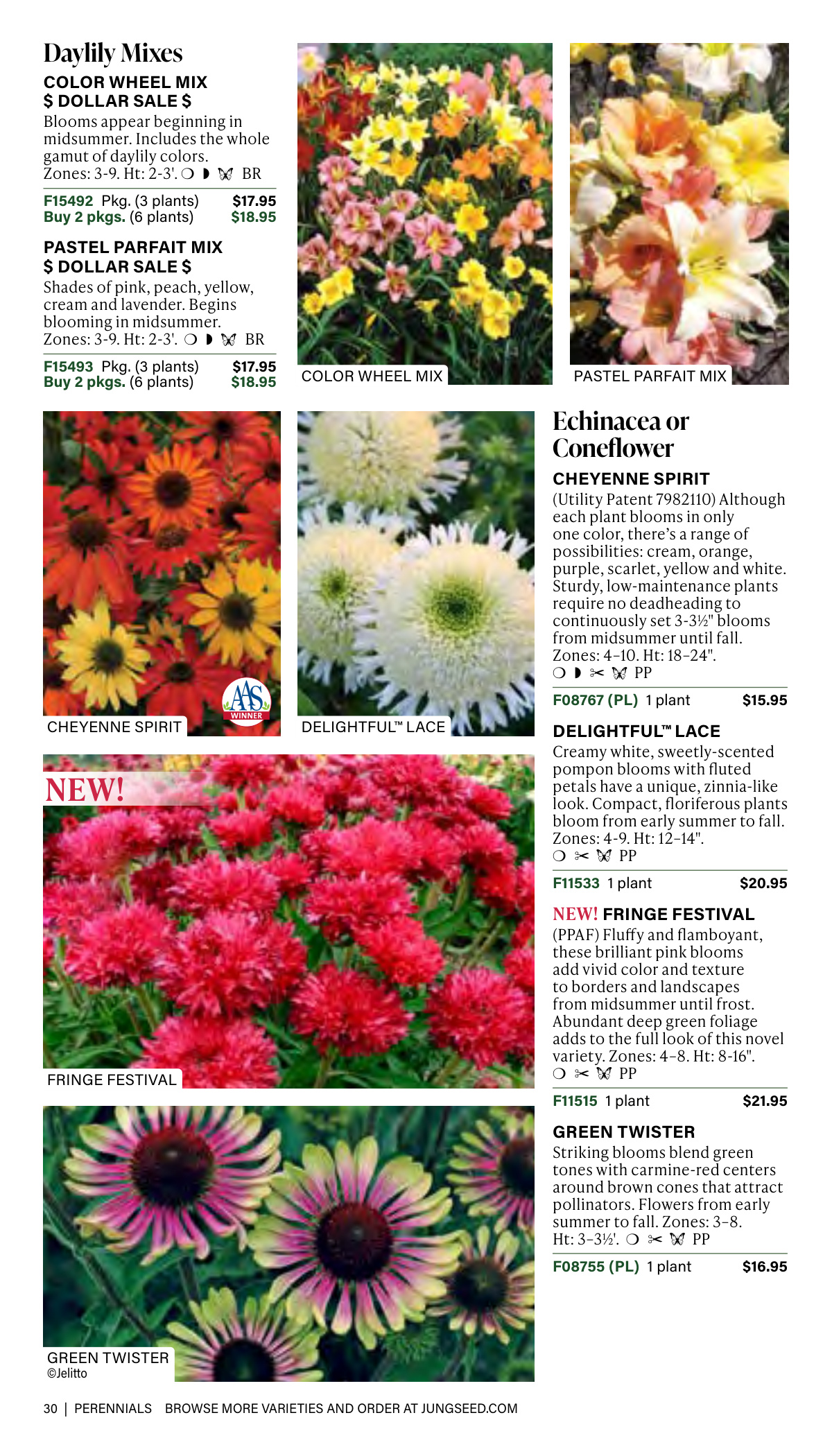 Flyer page 30