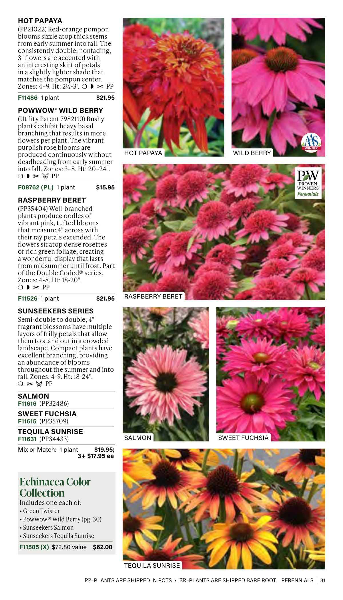 Flyer page 31
