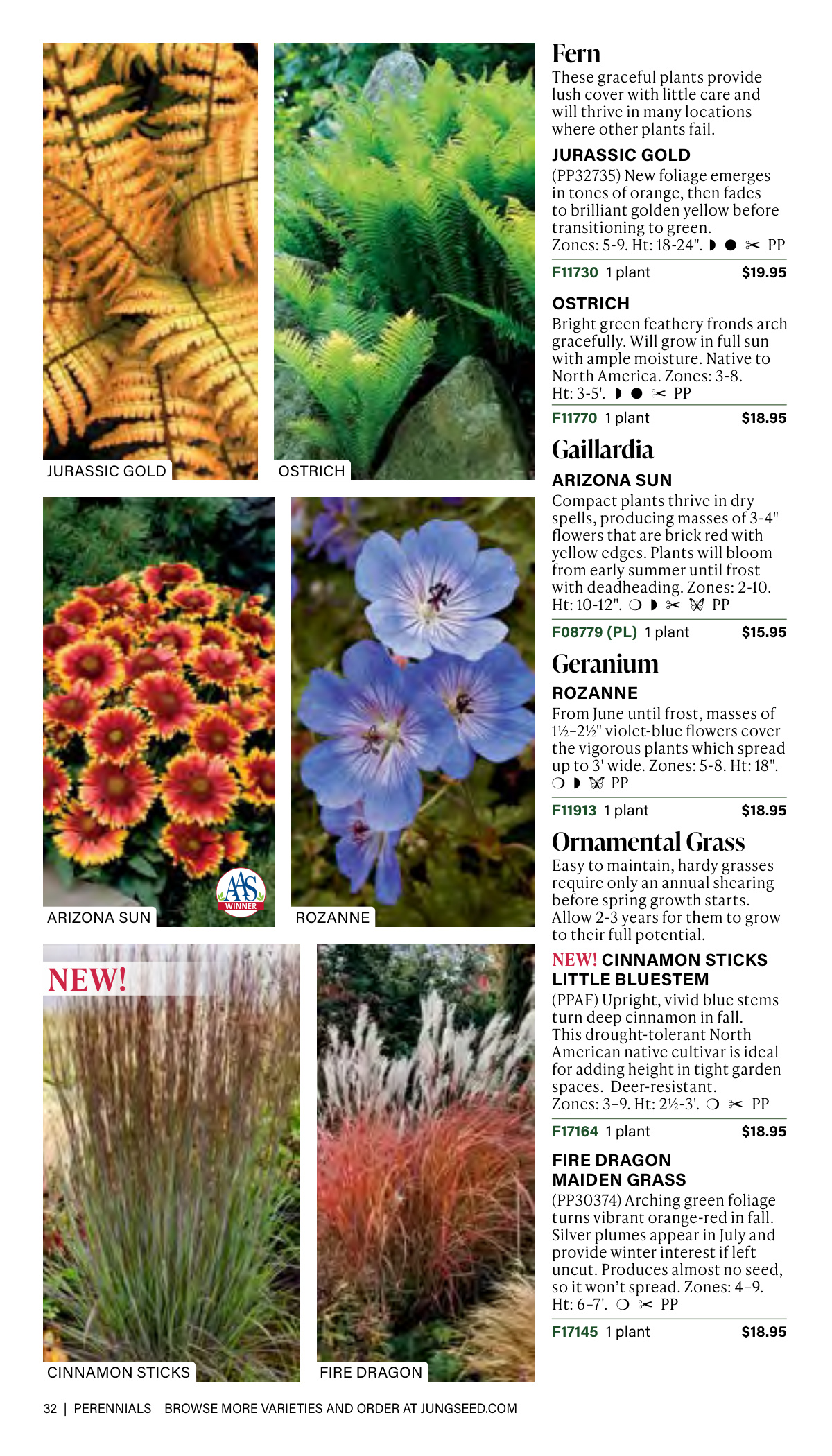 Flyer page 32