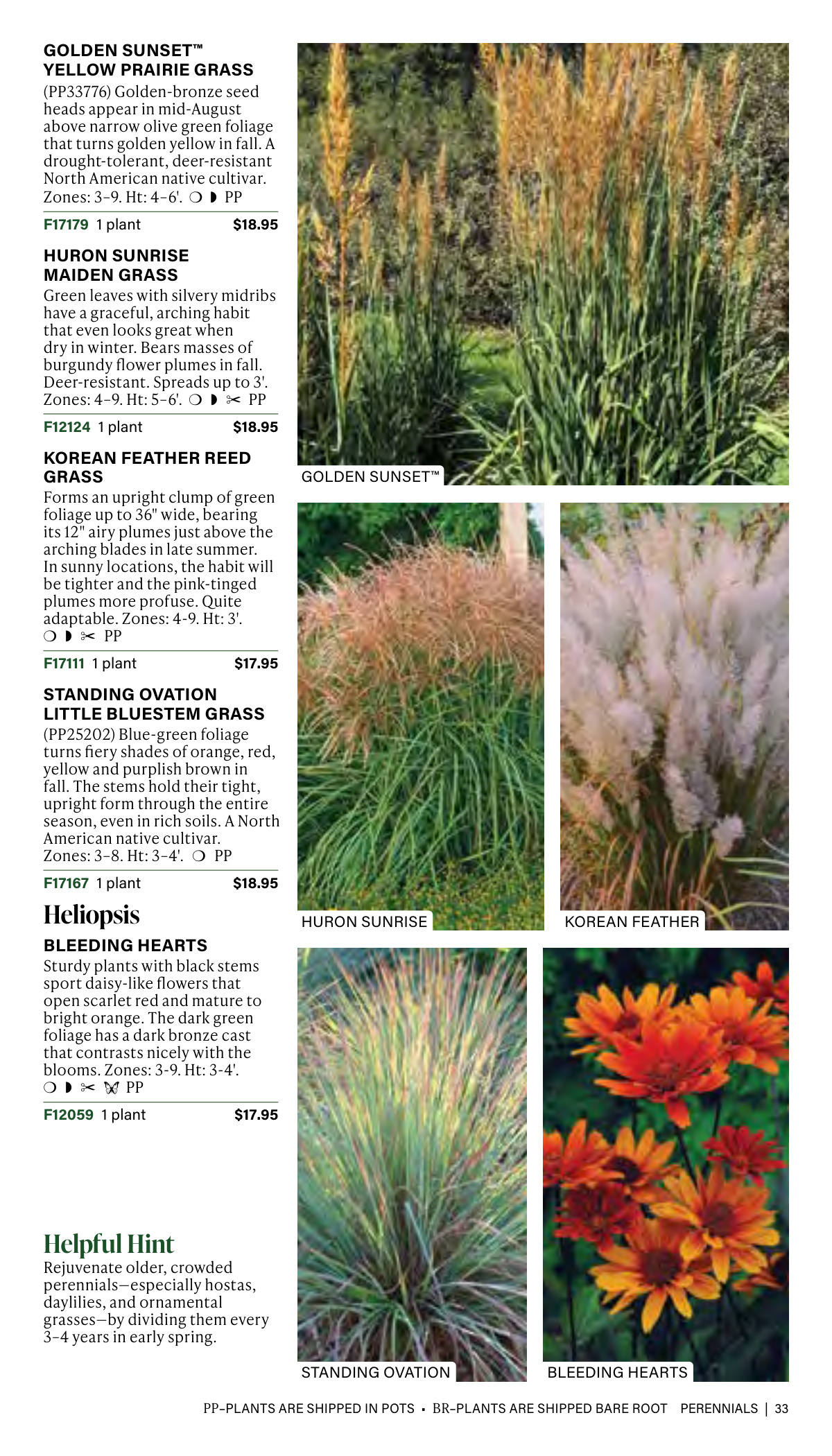 Flyer page 33