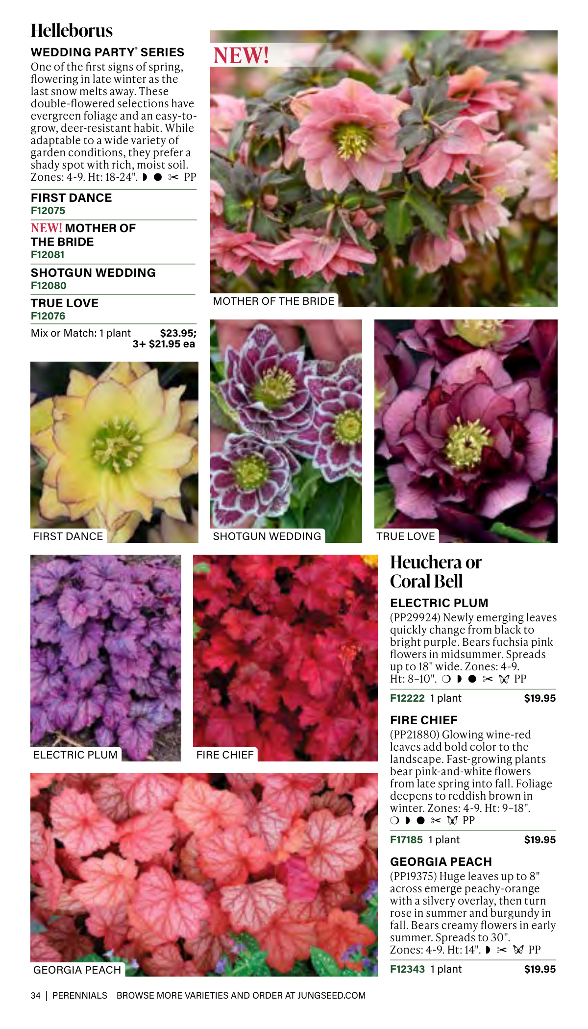 Flyer page 34