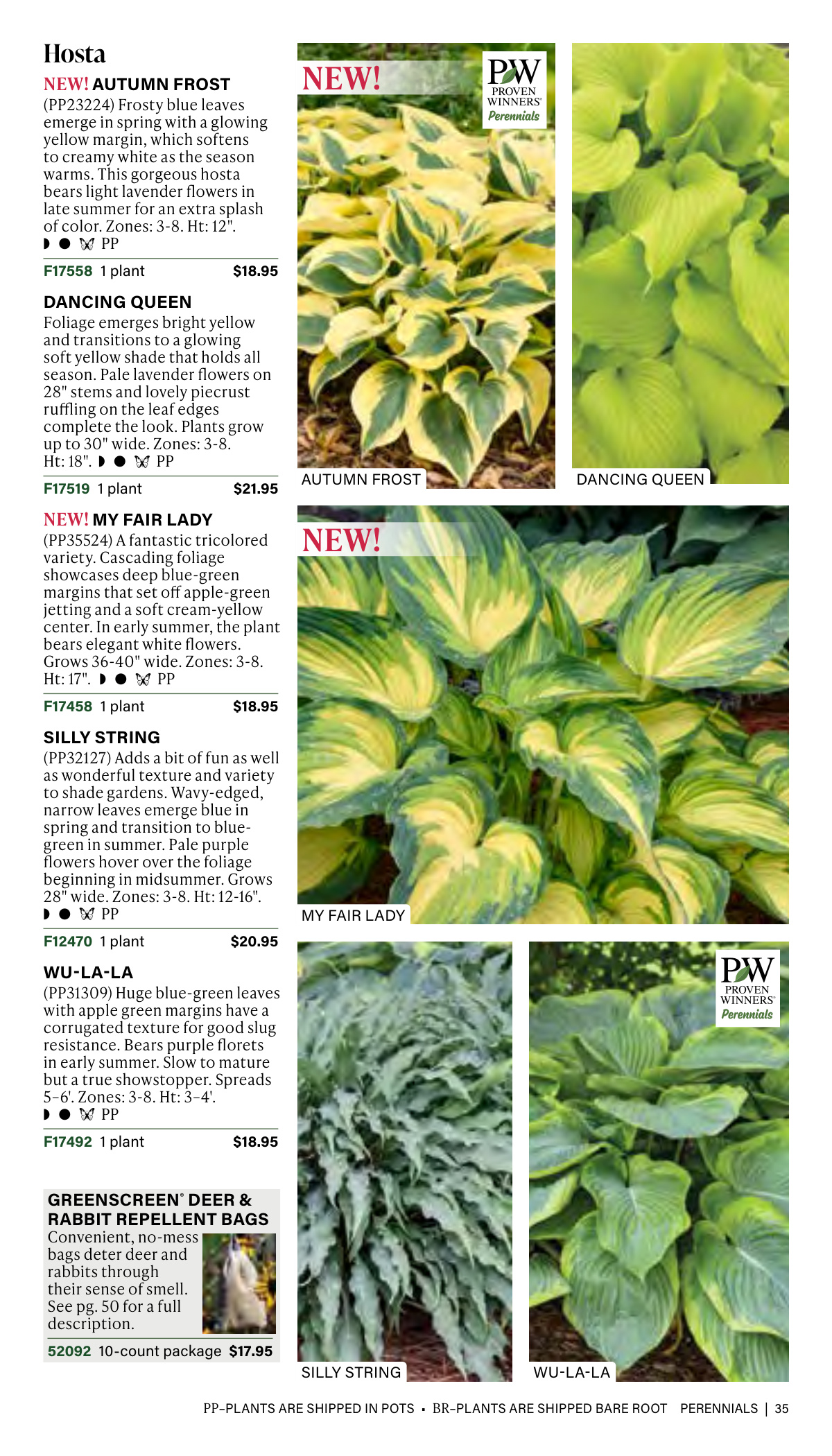 Flyer page 35