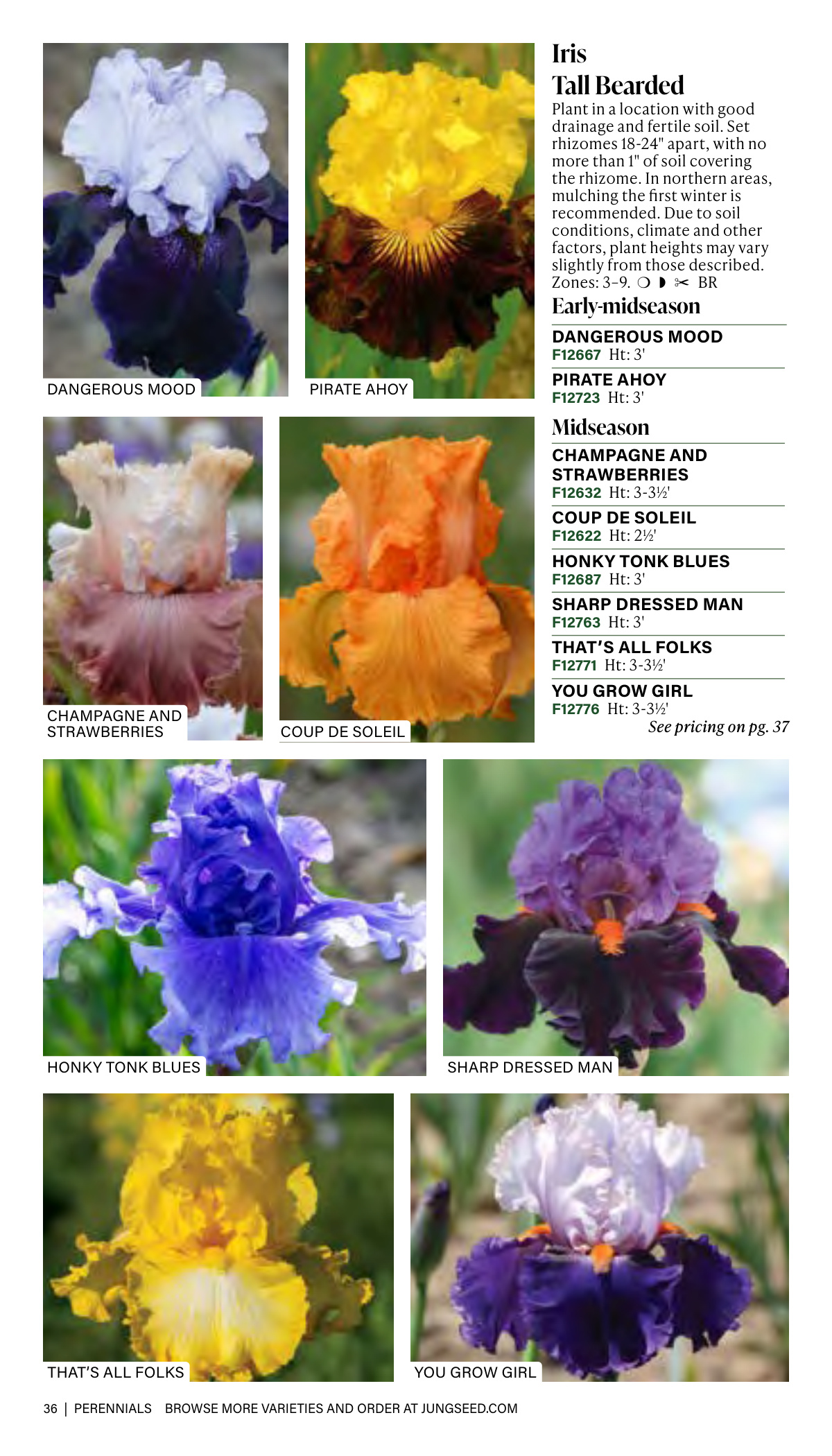 Flyer page 36