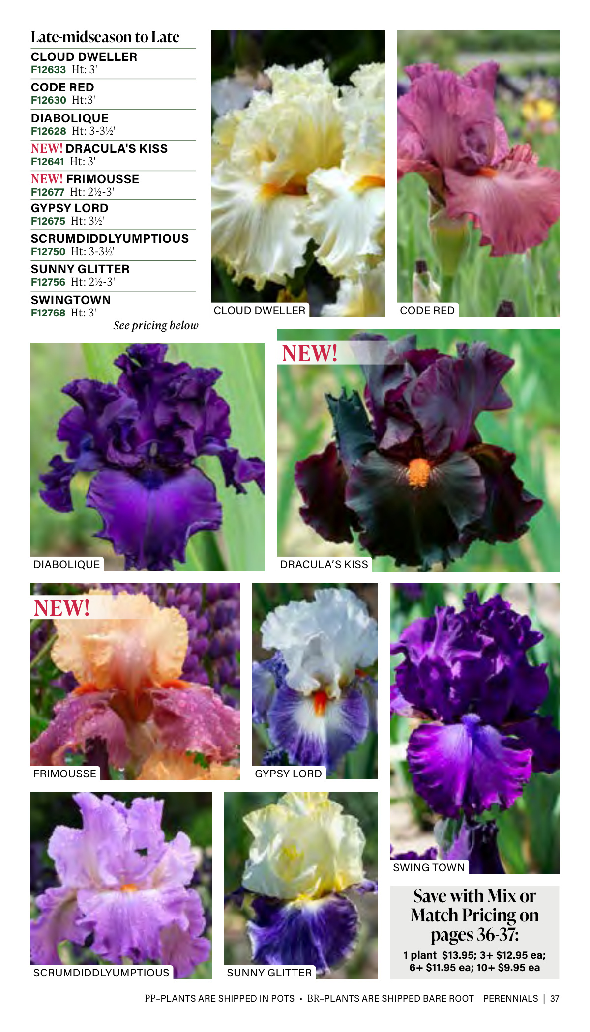 Flyer page 37