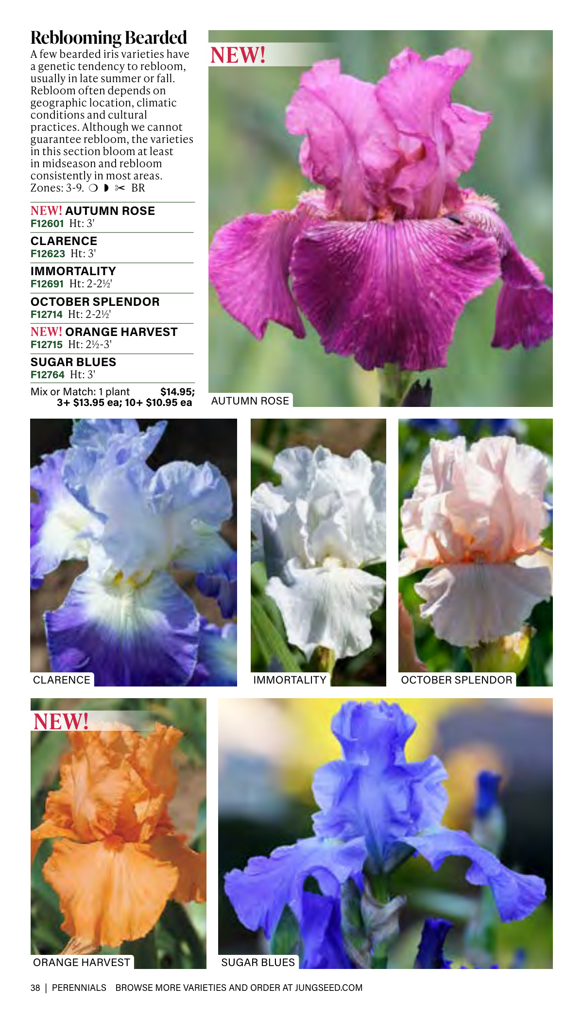 Flyer page 38