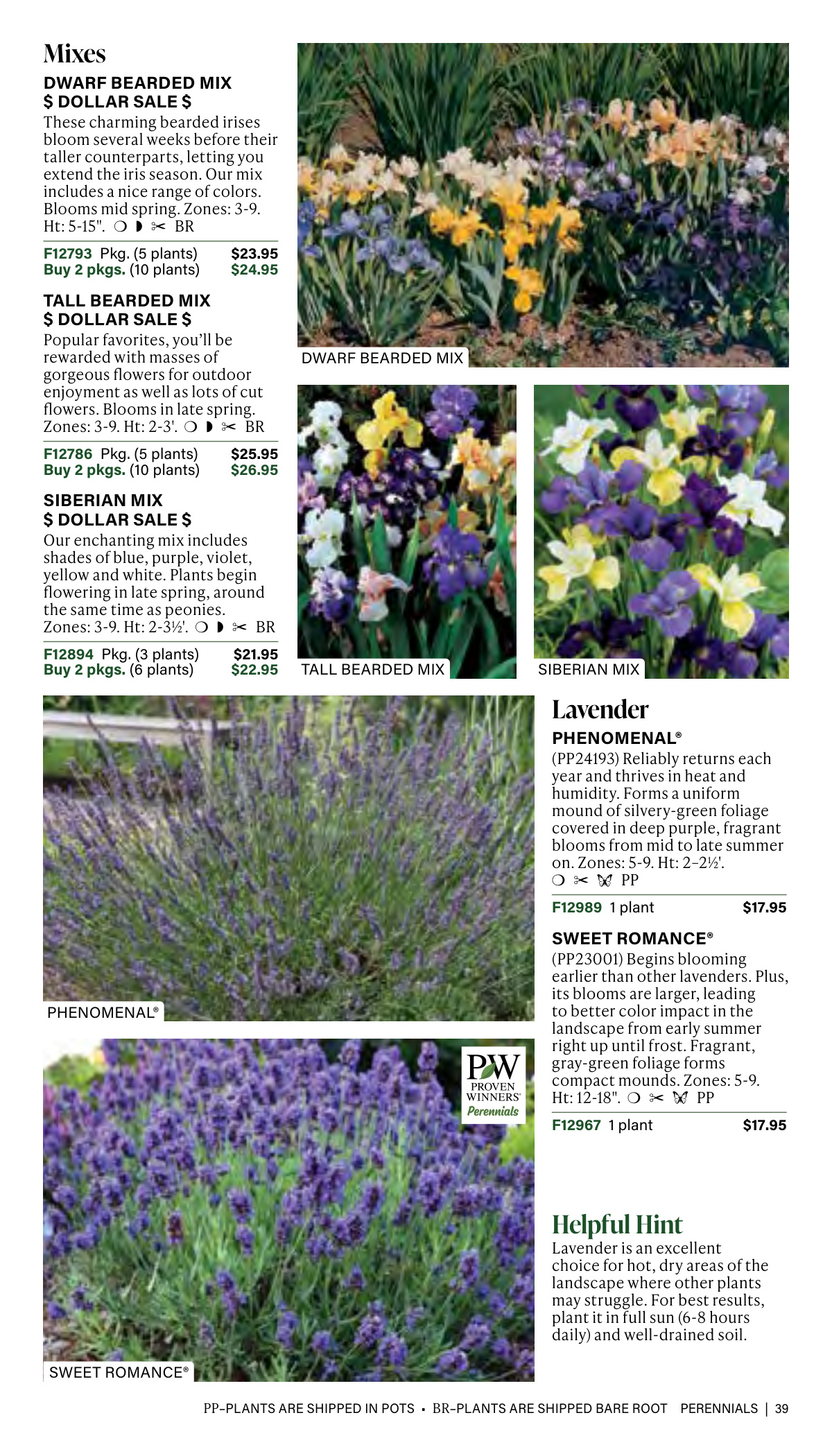 Flyer page 39