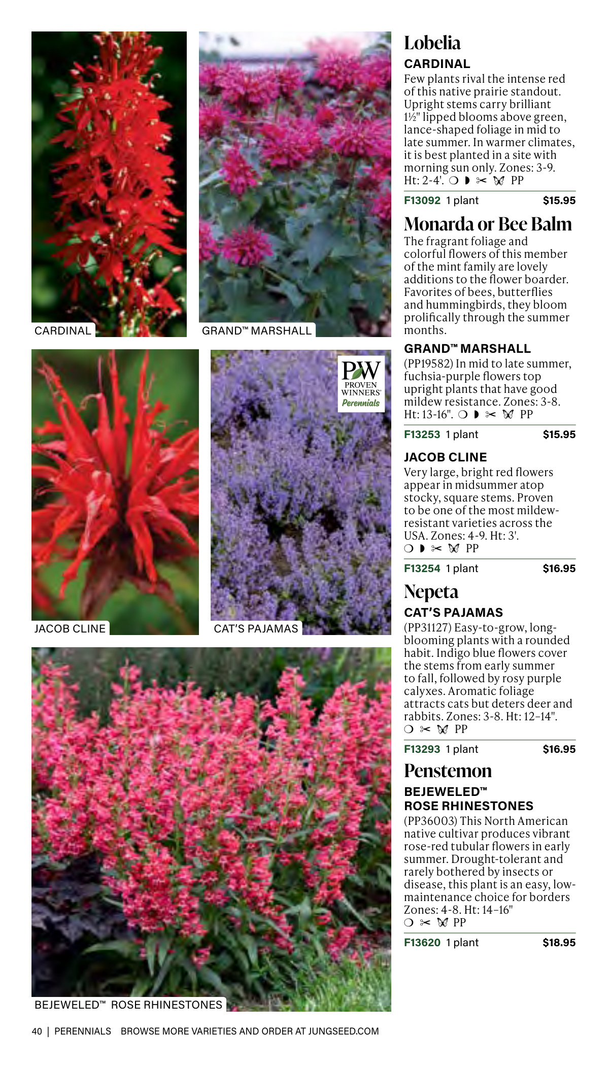 Flyer page 40