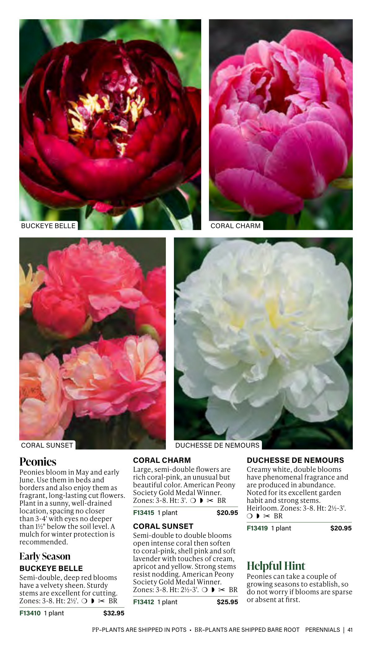 Flyer page 41