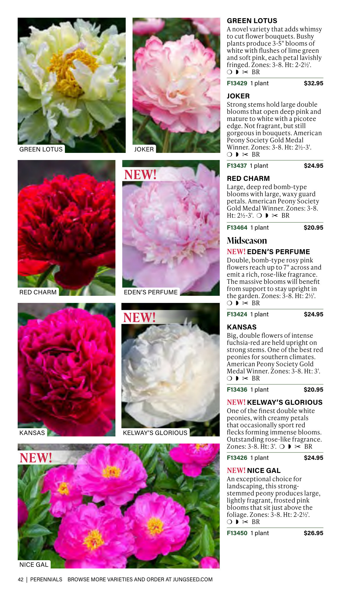 Flyer page 42