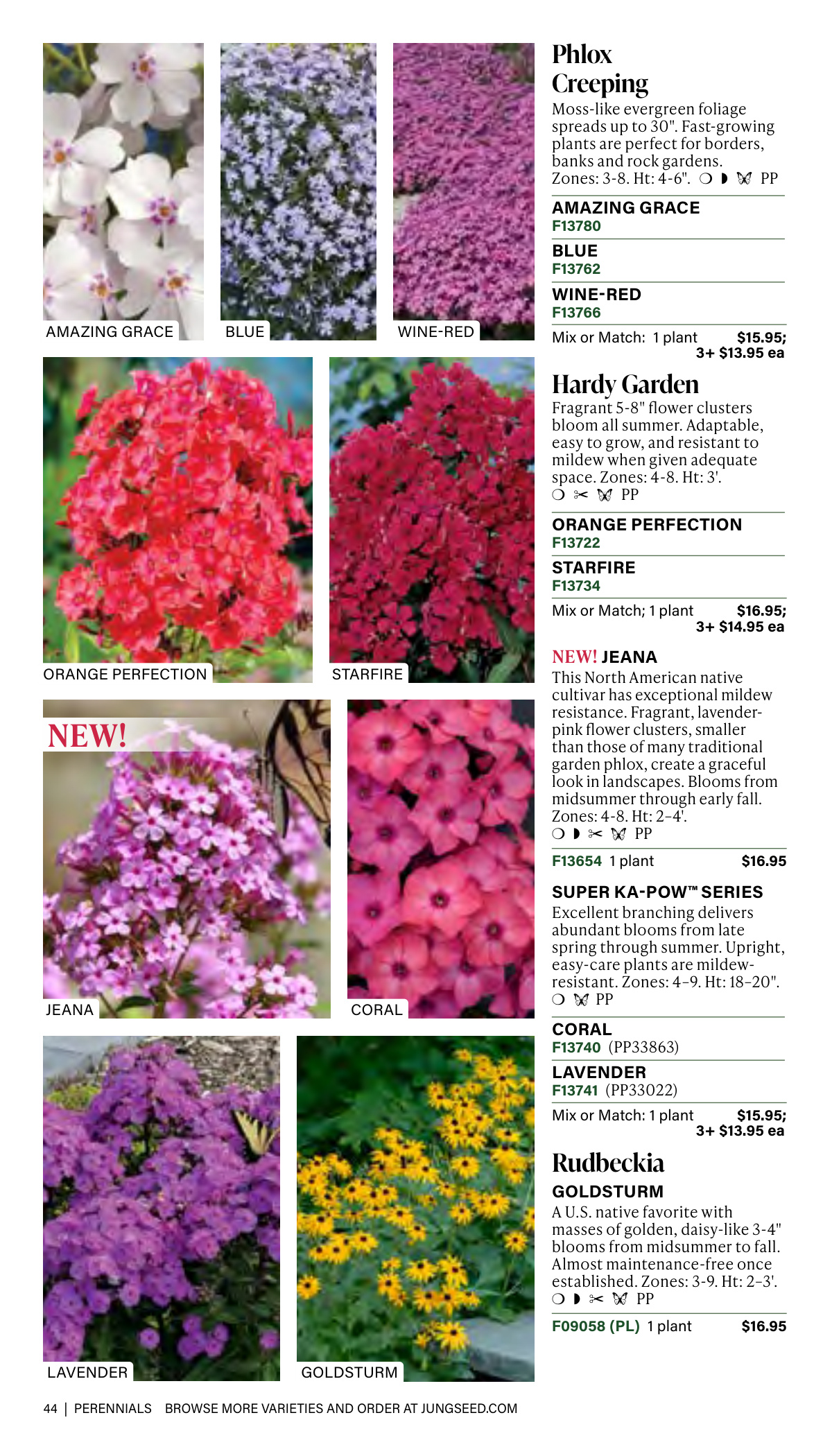 Flyer page 44
