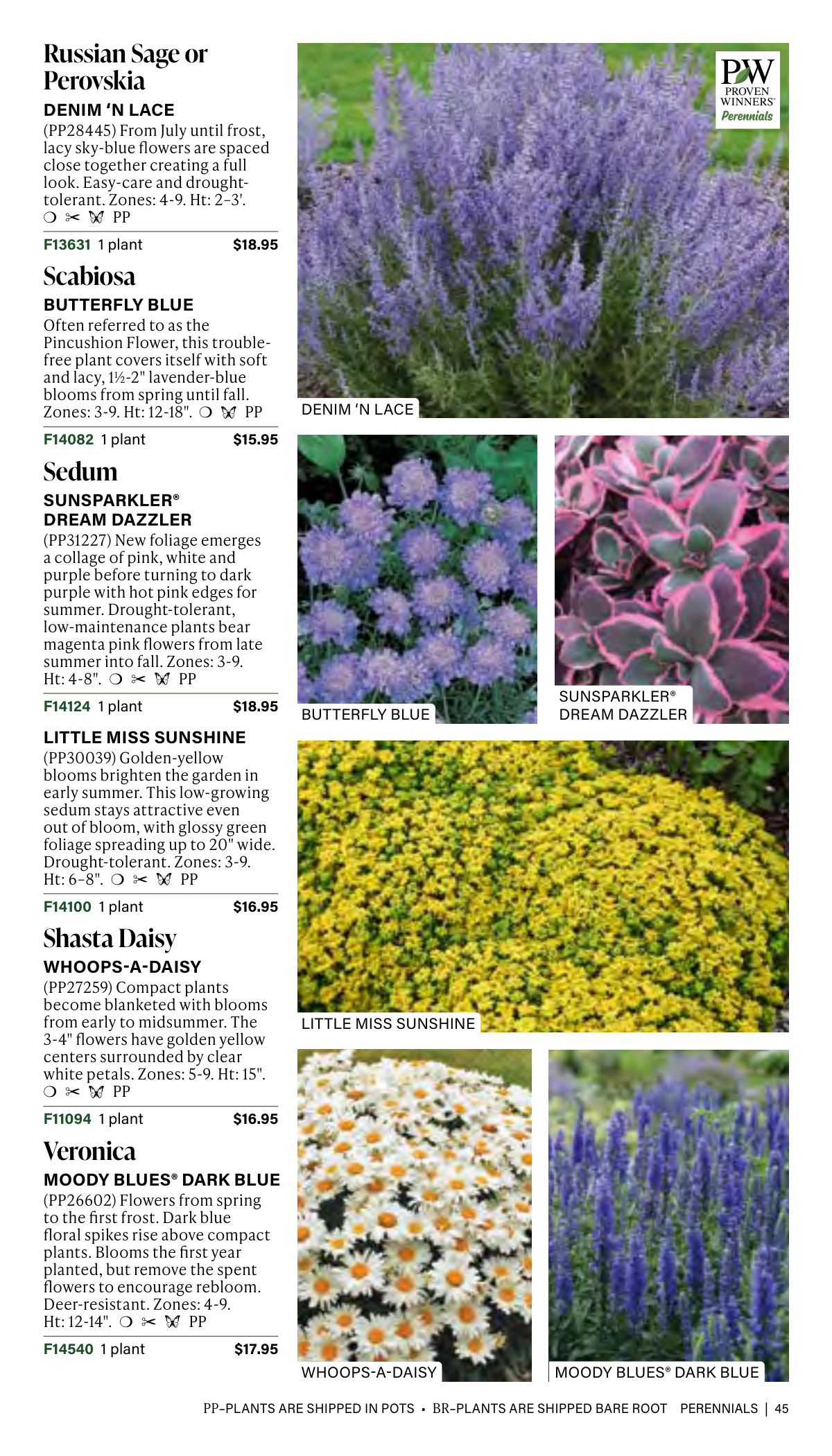 Flyer page 45