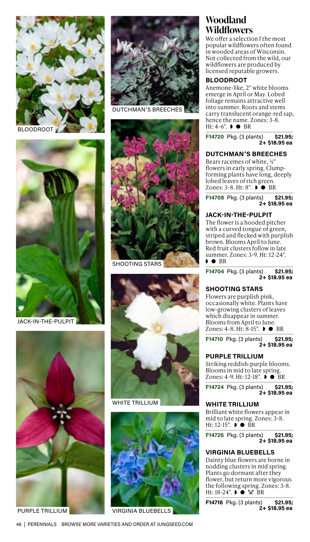 Flyer page 46