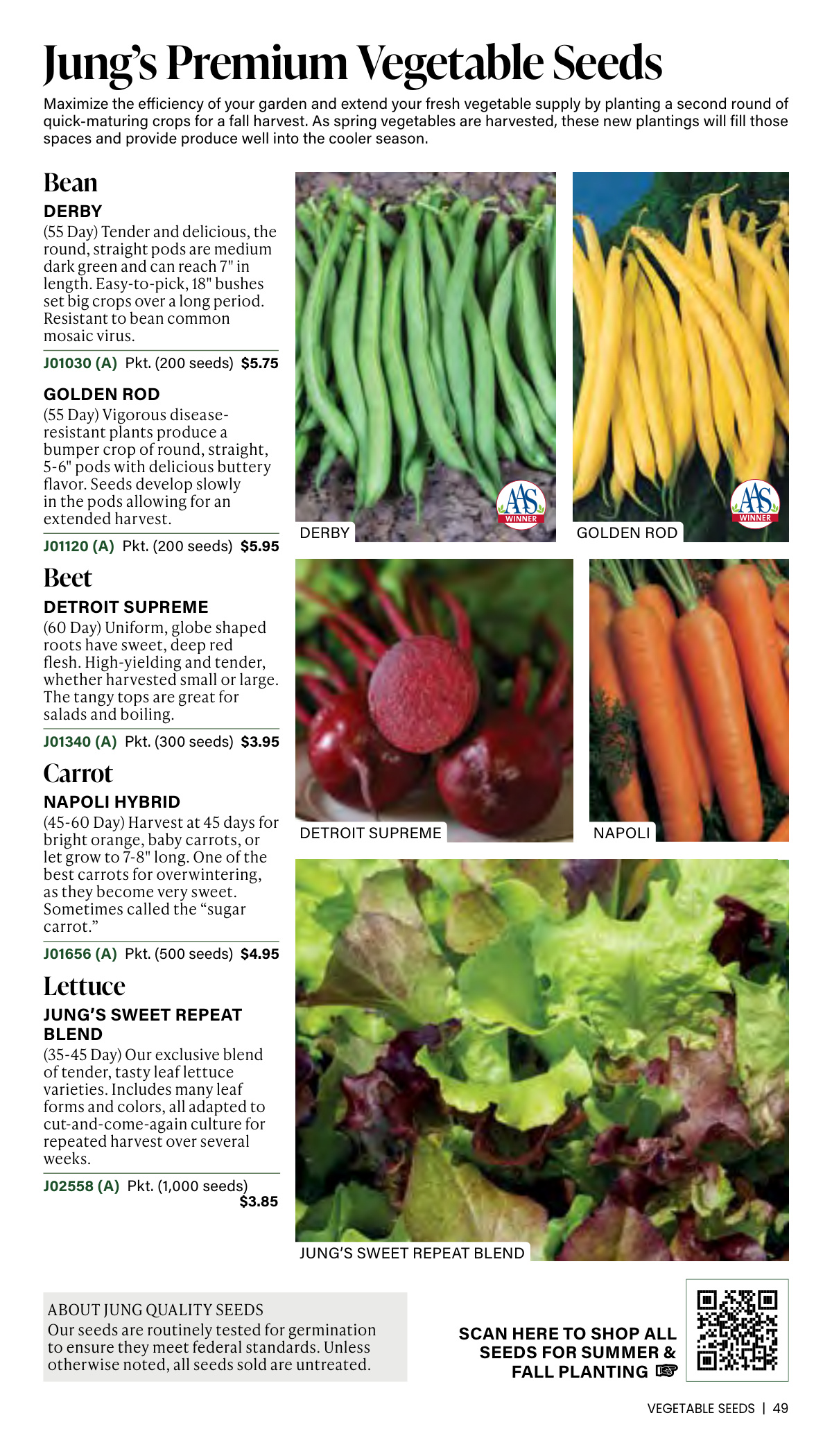 Flyer page 49
