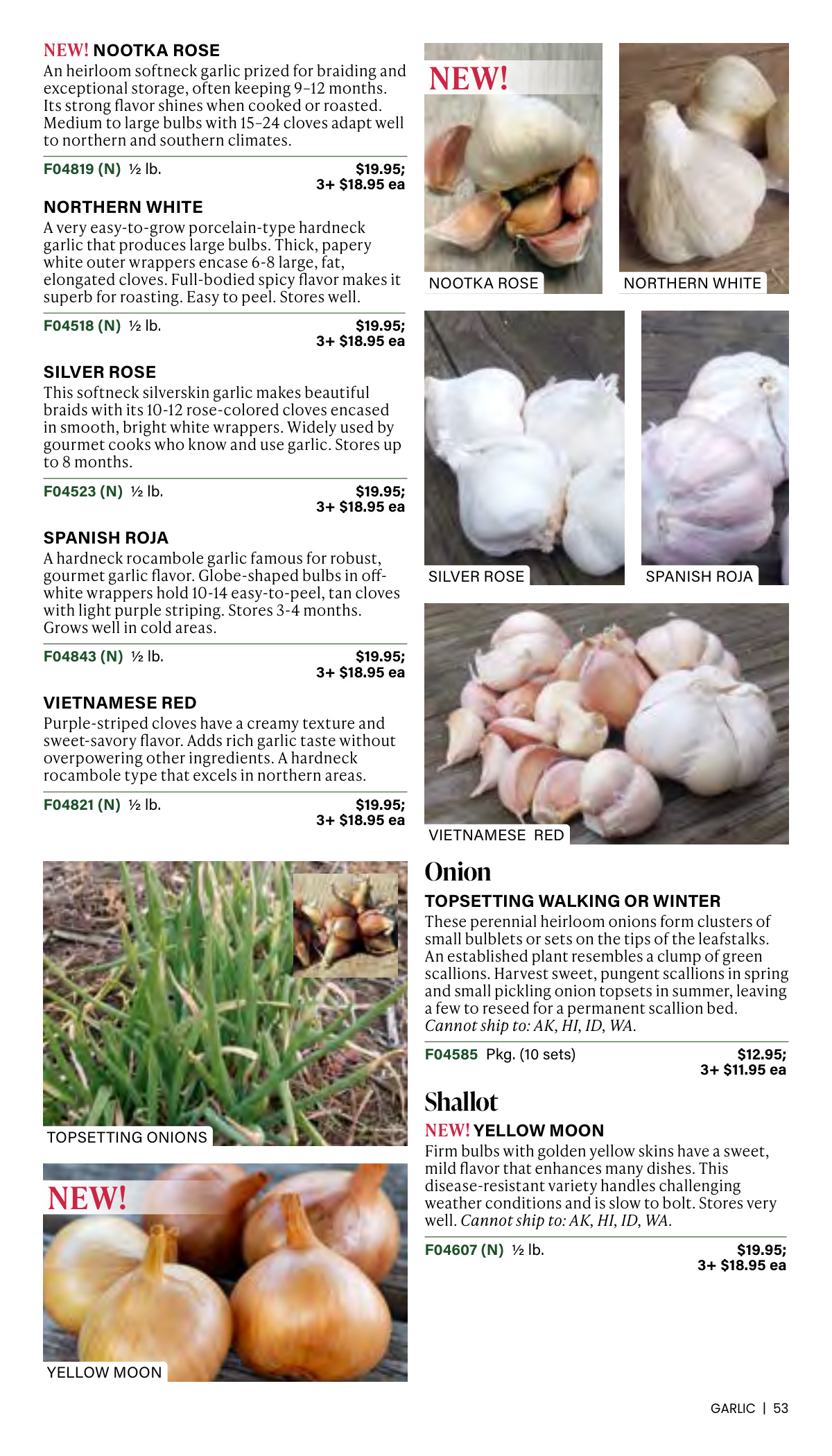 Flyer page 53